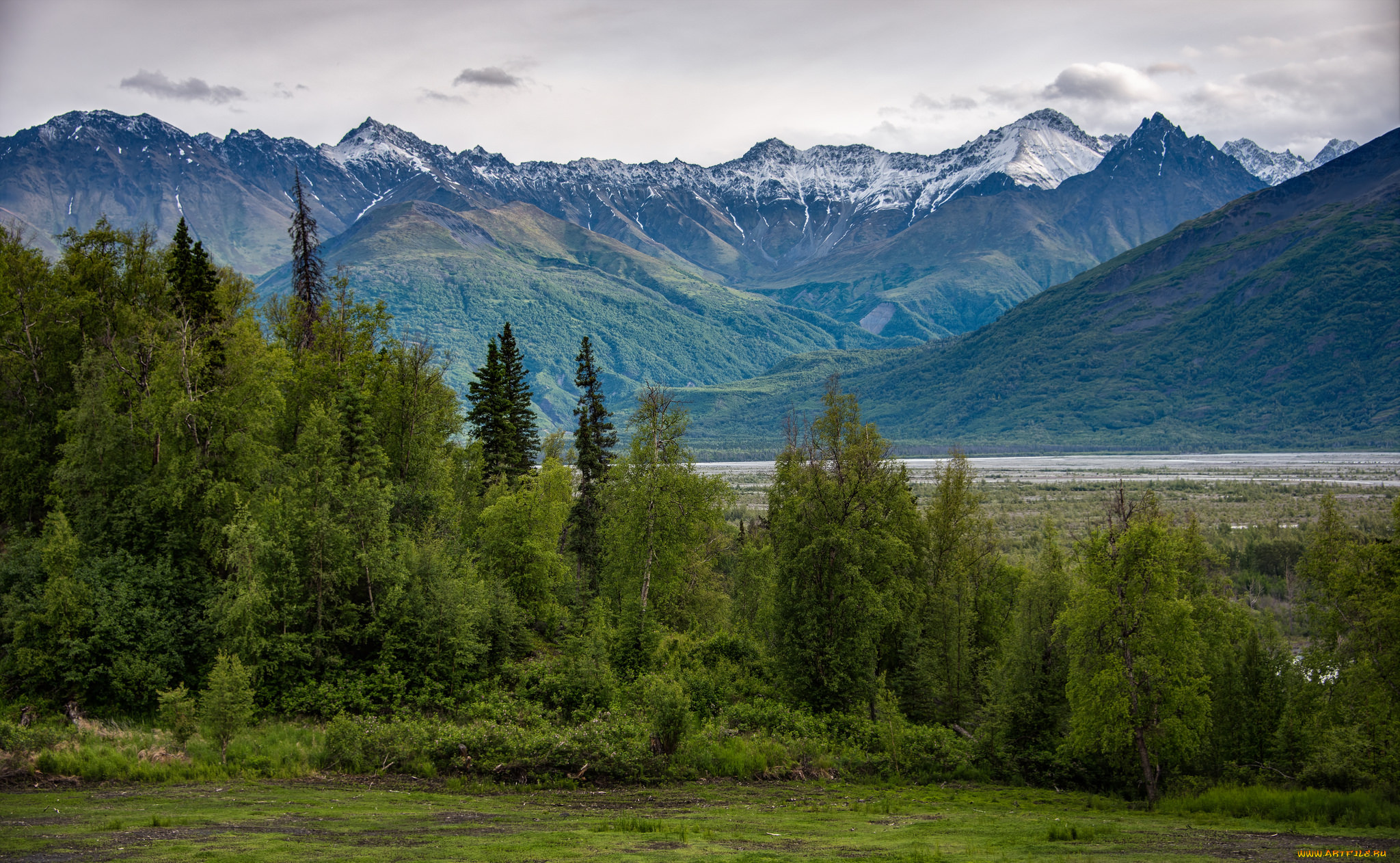 природа, горы, лес