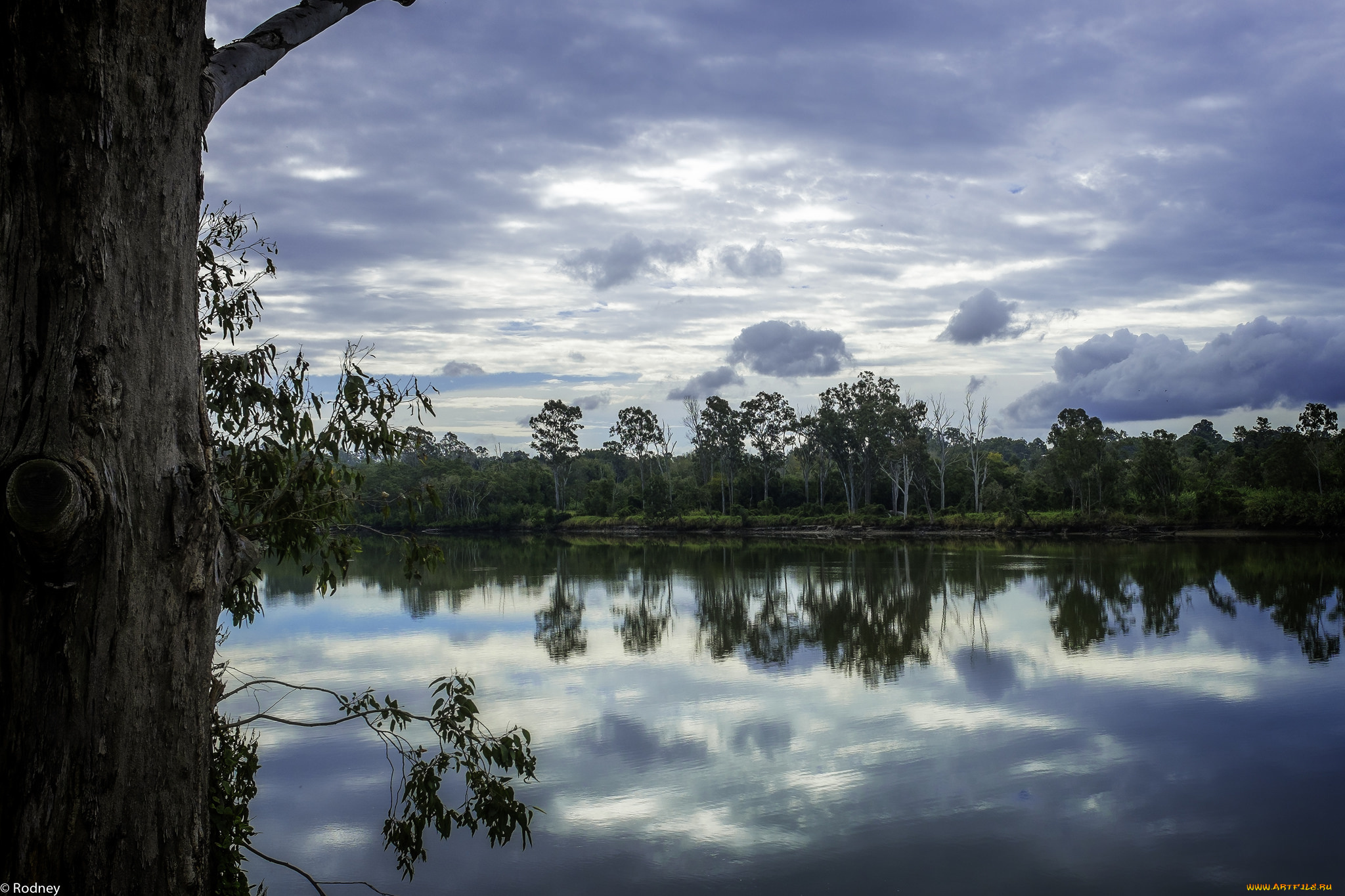 природа, реки, озера, вода, деревья, река