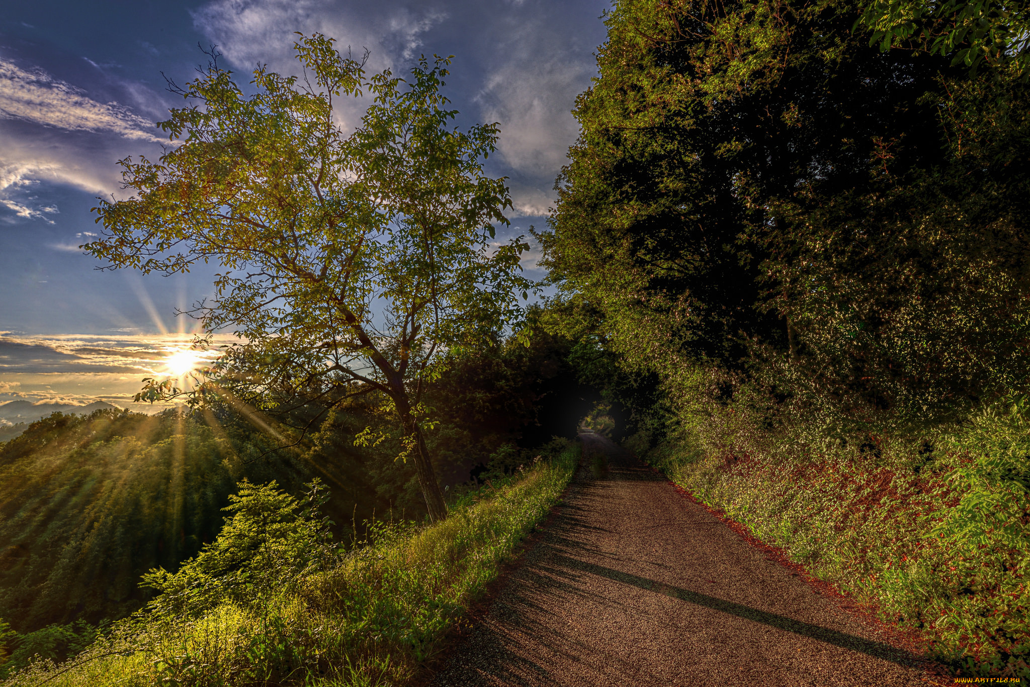 природа, дороги, рассвет
