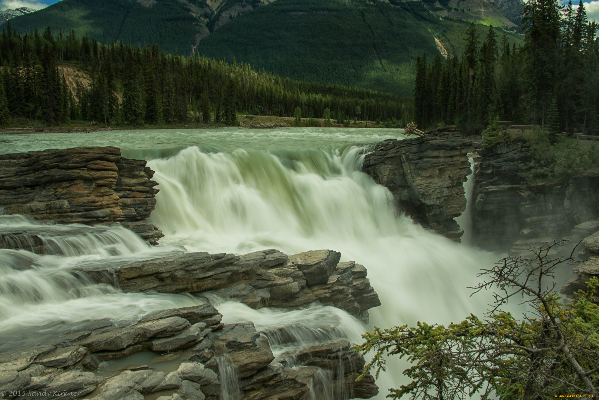 природа, водопады, водопад, река, лес