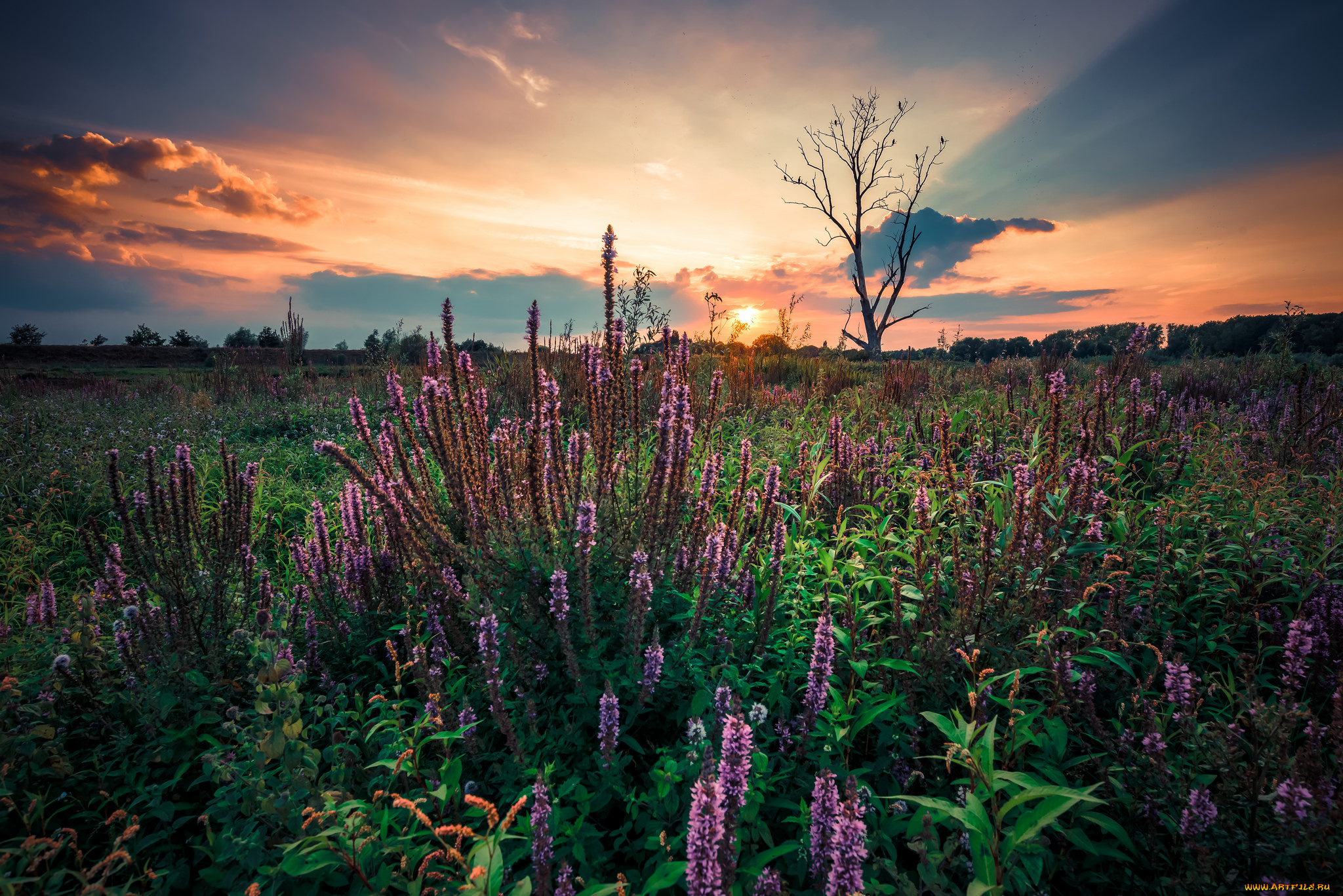 природа, восходы, закаты, рассвет