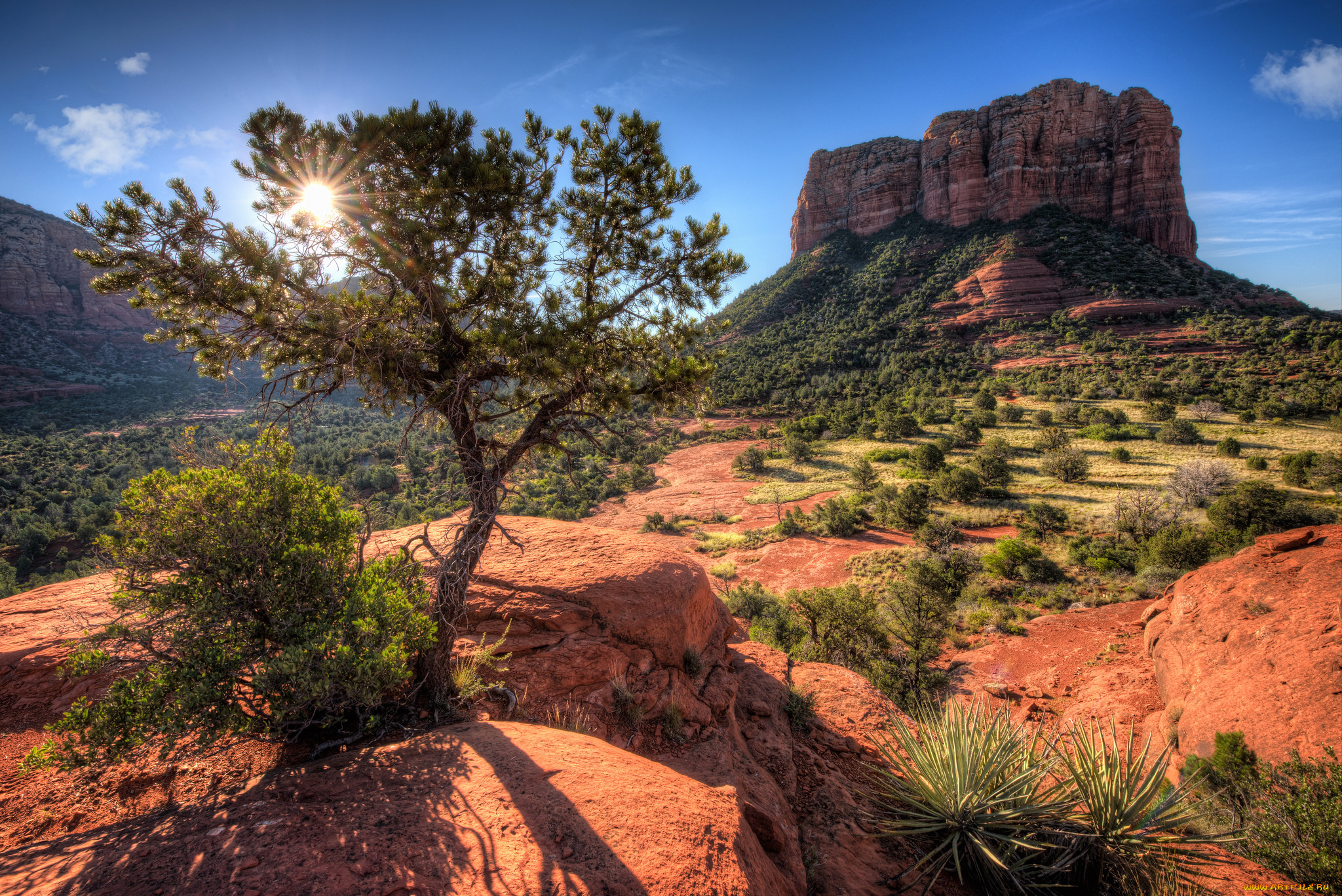 природа, восходы, закаты, солнце, скалы, деревья