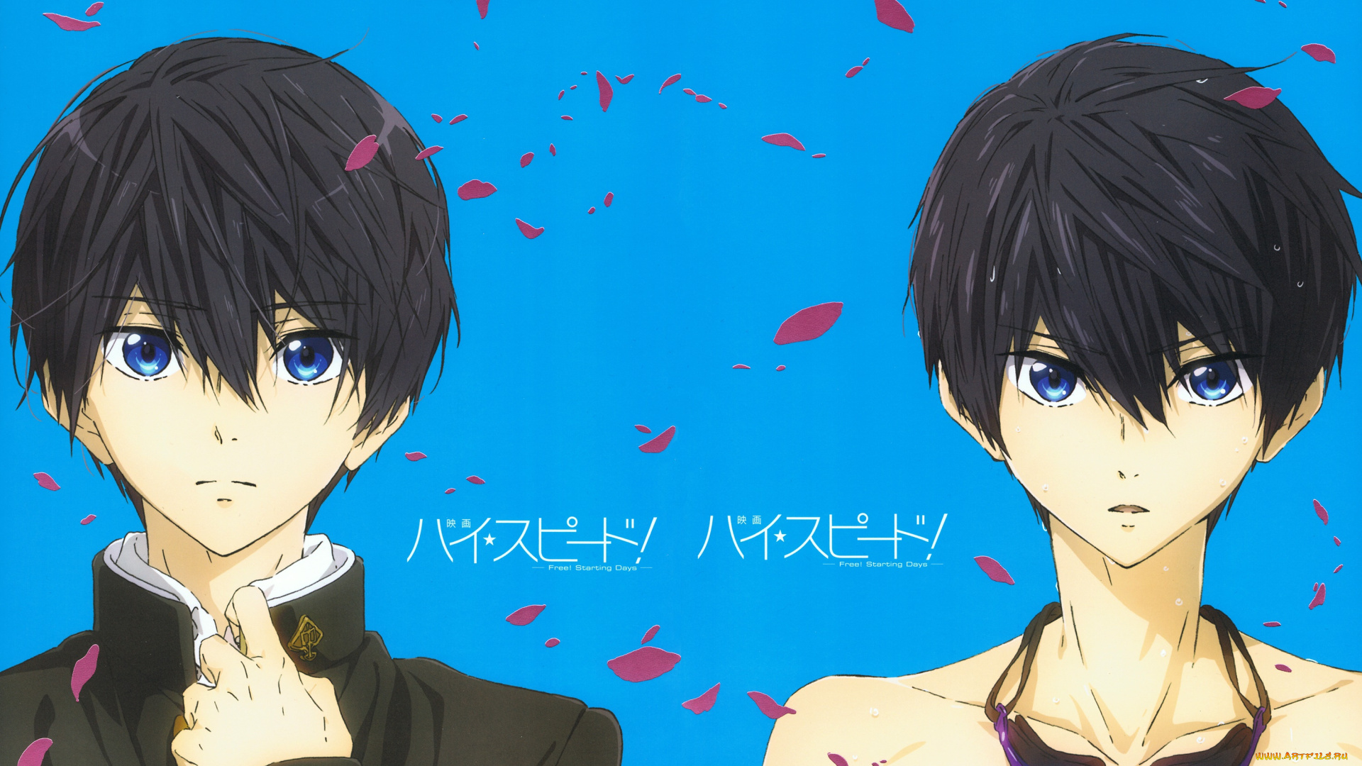 аниме, free, персонажи