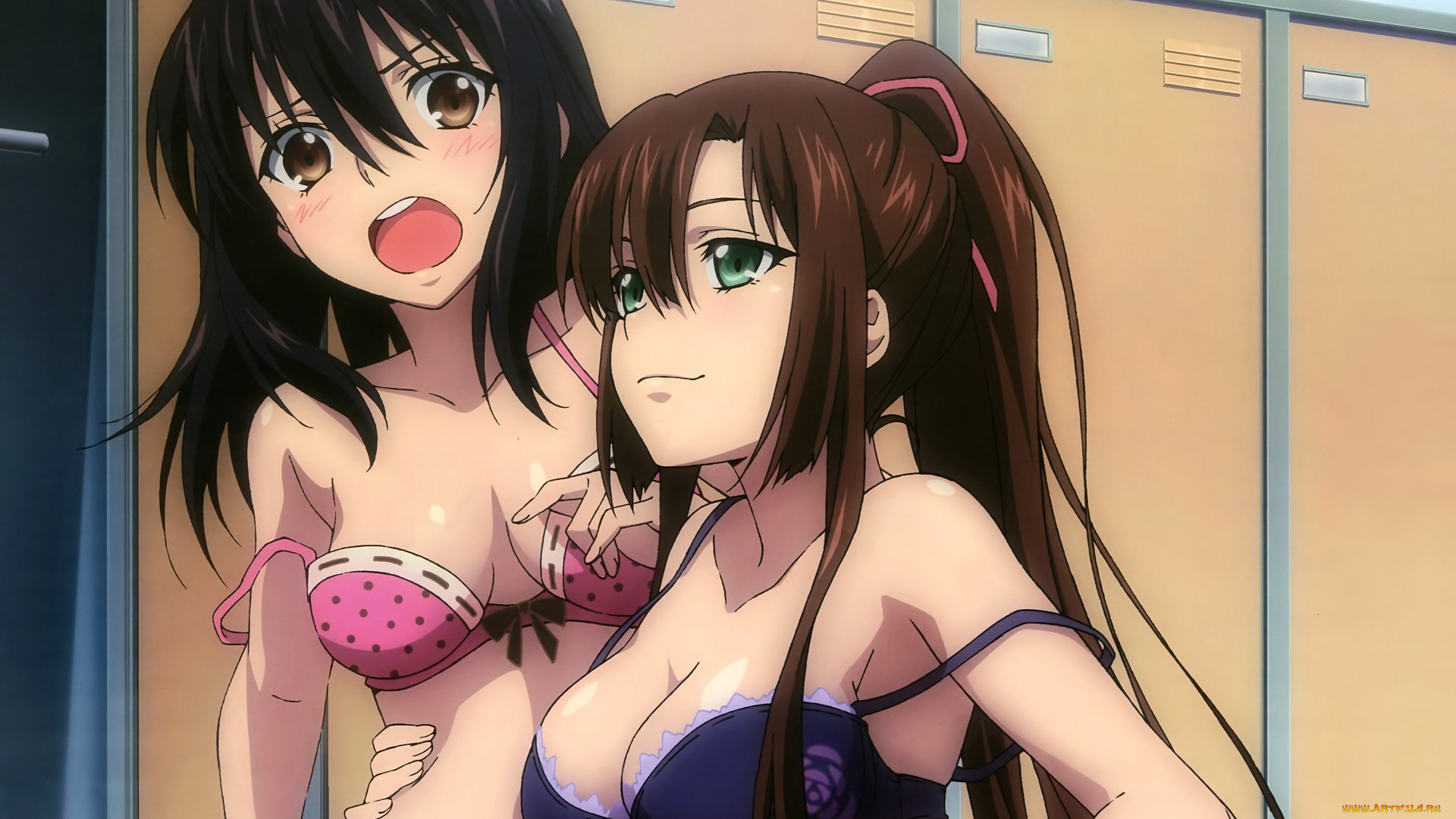 аниме, strike, the, blood, девушки