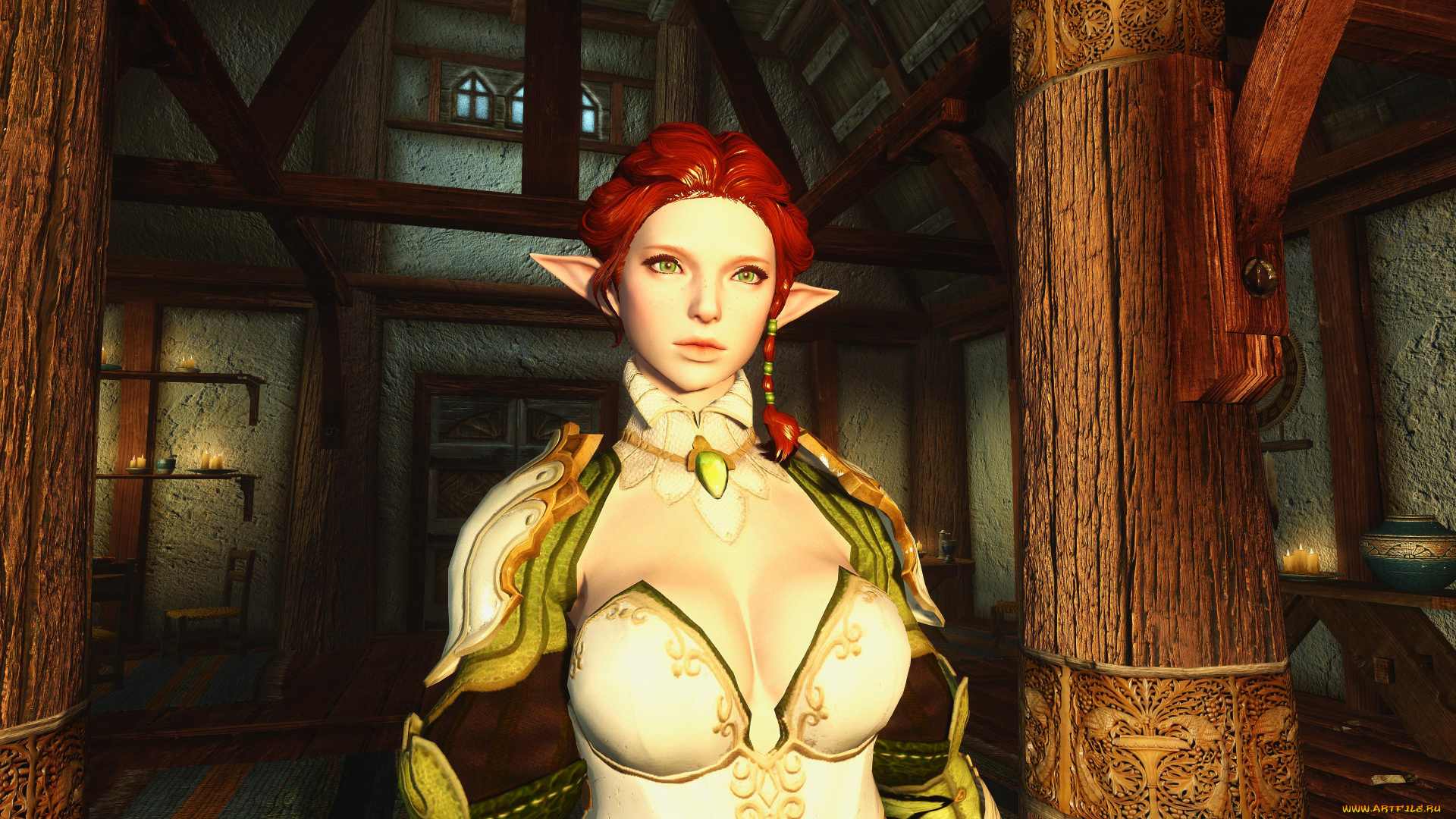 the, elder, scrolls, v, , skyrim, видео, игры, фон, взгляд, эльфийка