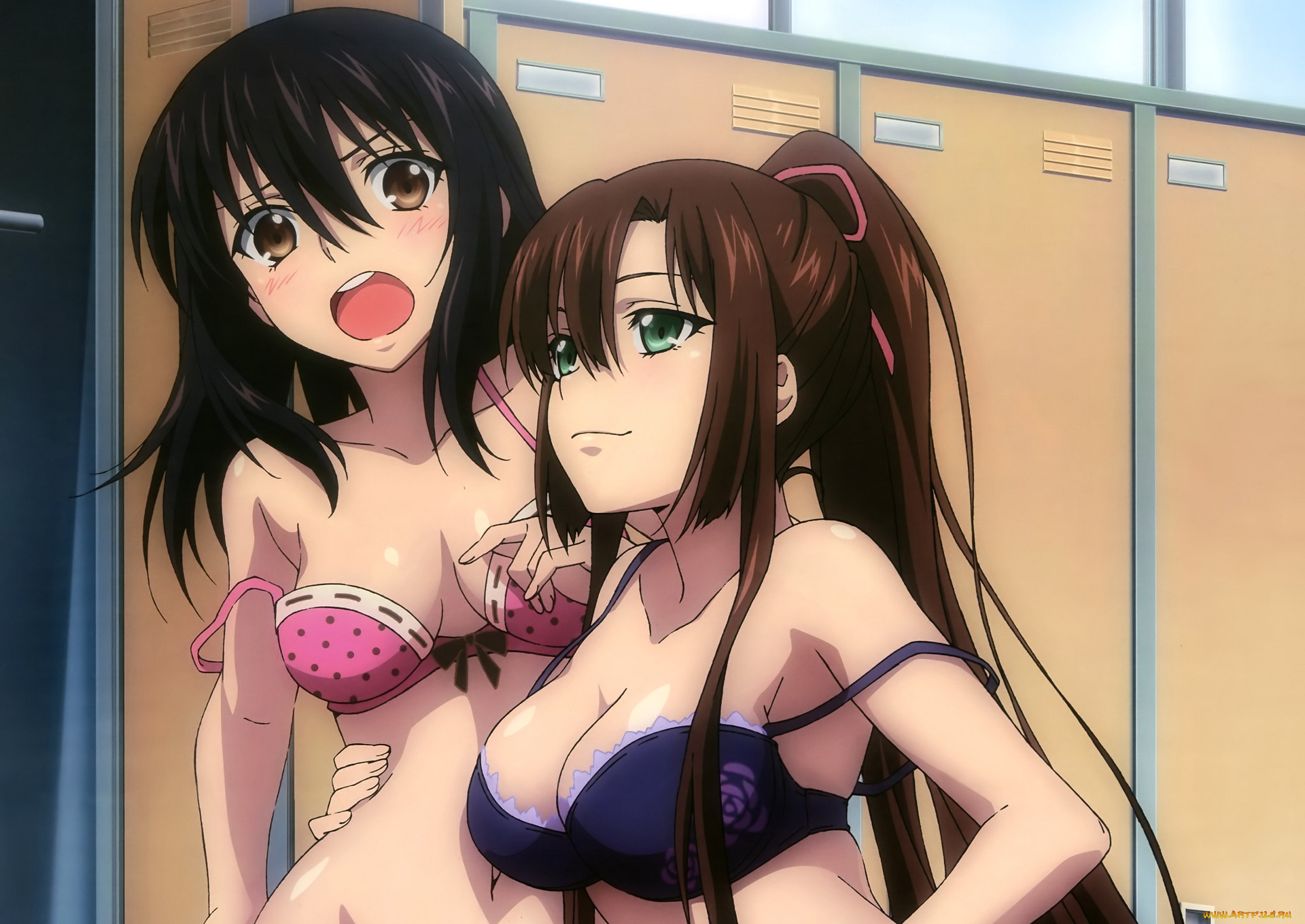 аниме, strike, the, blood, девушки