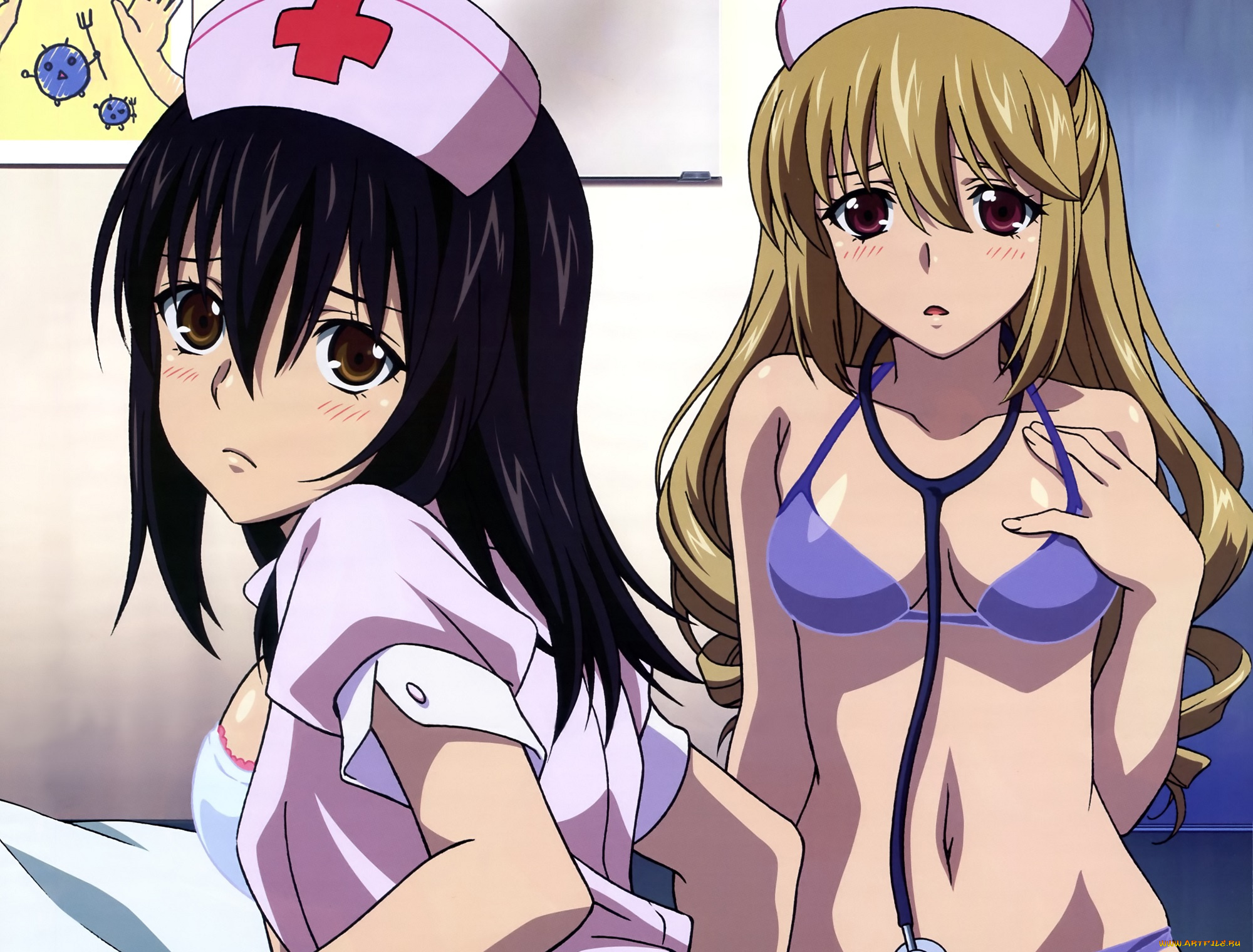 аниме, strike, the, blood, девушки