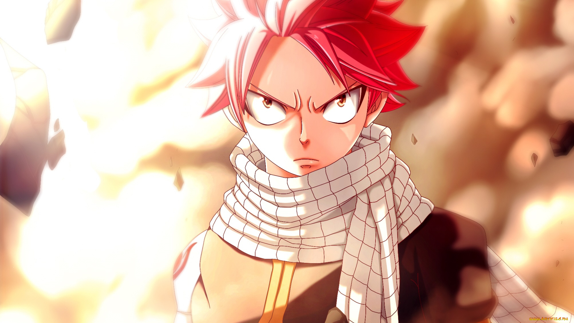 аниме, fairy, tail, хвост, феи