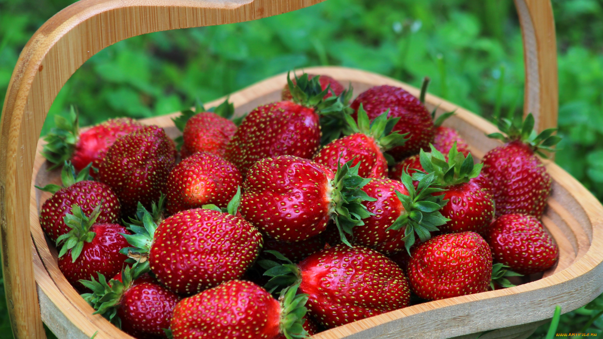 еда, клубника, , земляника, витамины, красота, ягоды, природа, лето, вкусно, дача