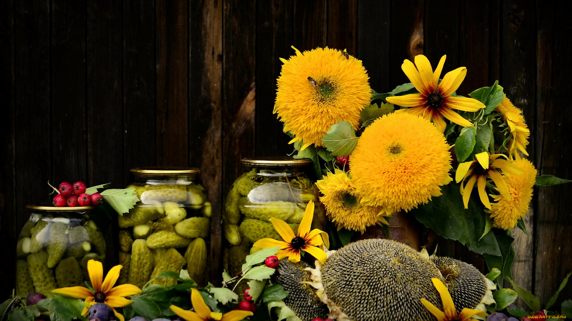 еда, консервация, консервирование, сливы, натюрморт, букет, цветы, осень, конкурс, рудбекия, осеннее, настроение, композиция, огурцы, дача, сентябрь, подсолнечник