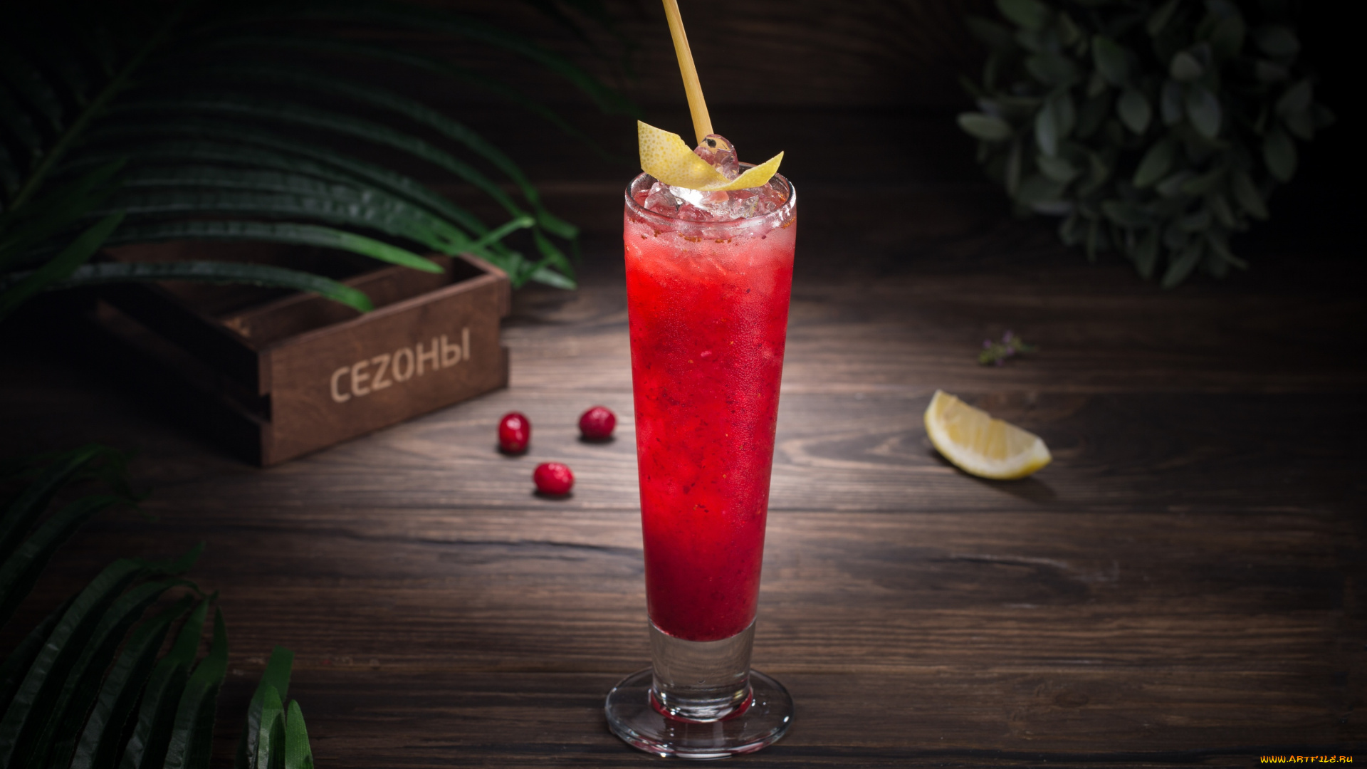 еда, напитки, , коктейль, лимон, бокал, коктейль