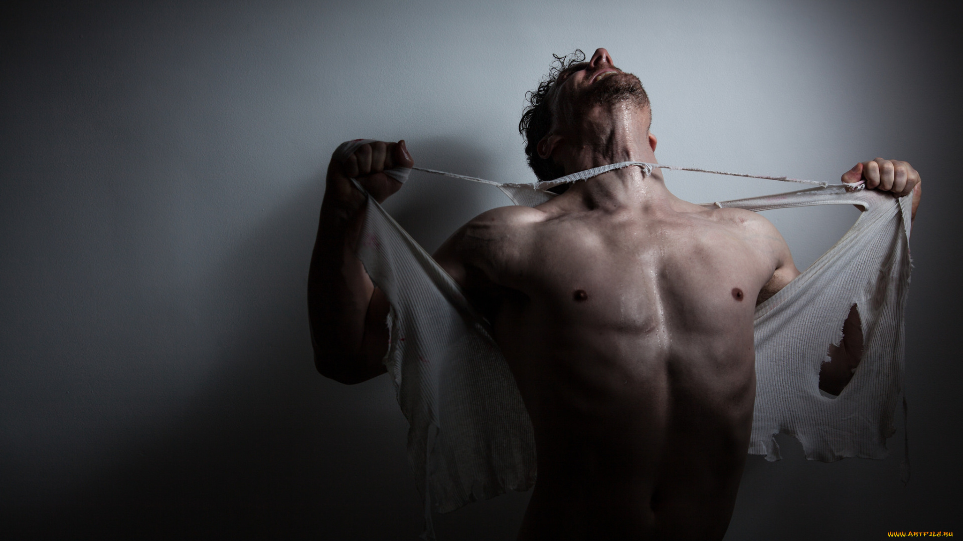 мужчины, -, unsort, гнев, рвет, мужчина, тело, майка