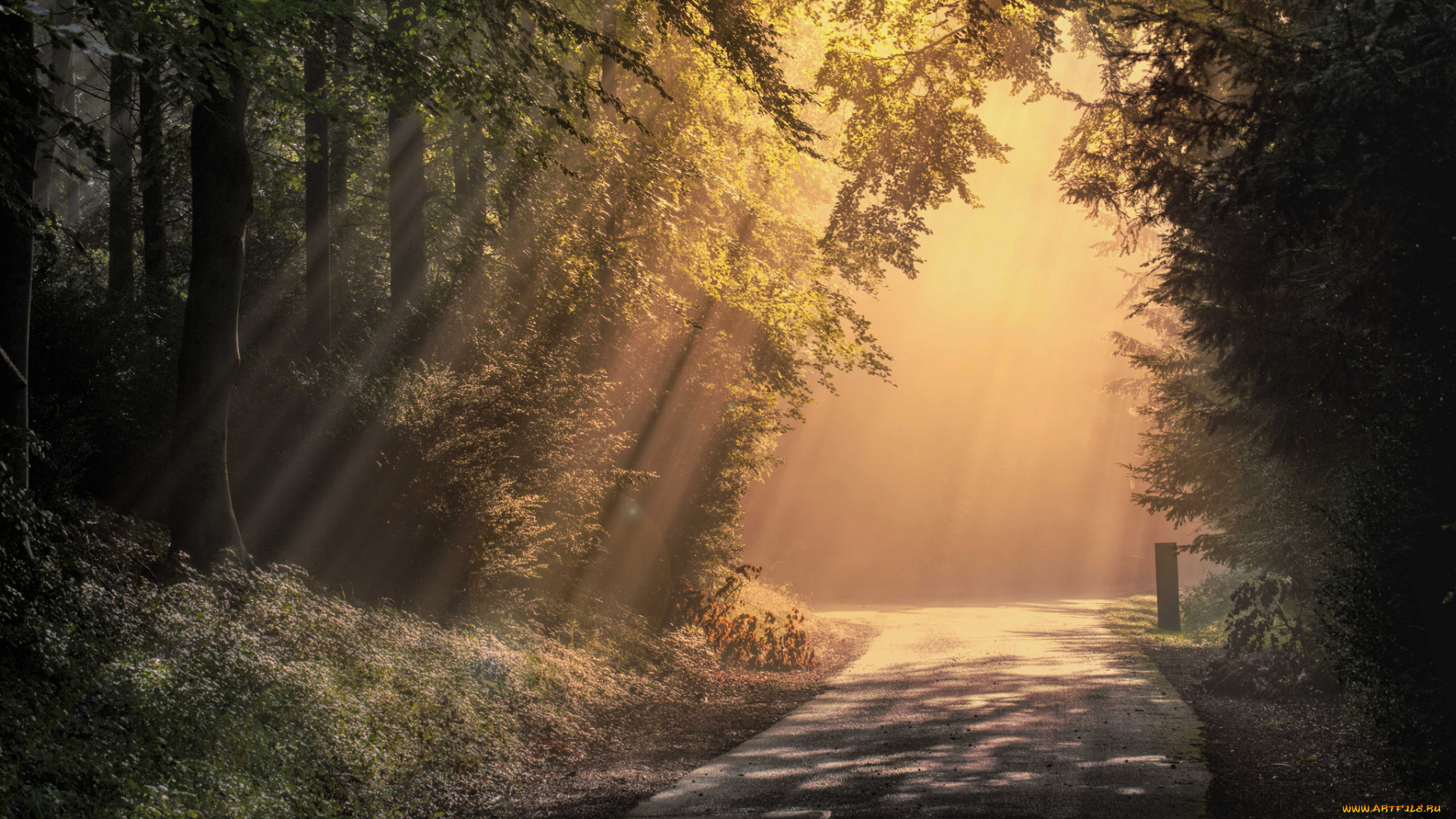 природа, дороги, простор