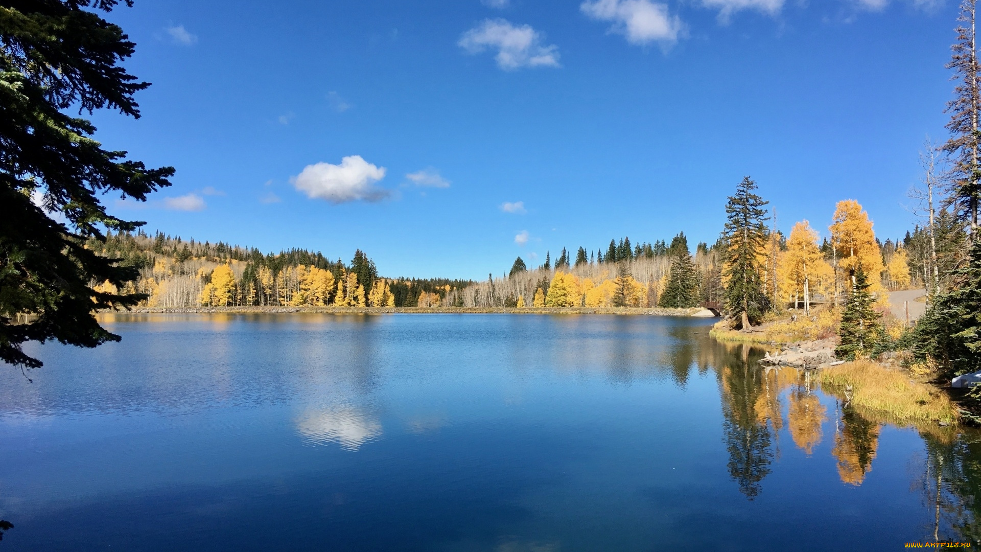 природа, реки, озера, отражение, река, вода
