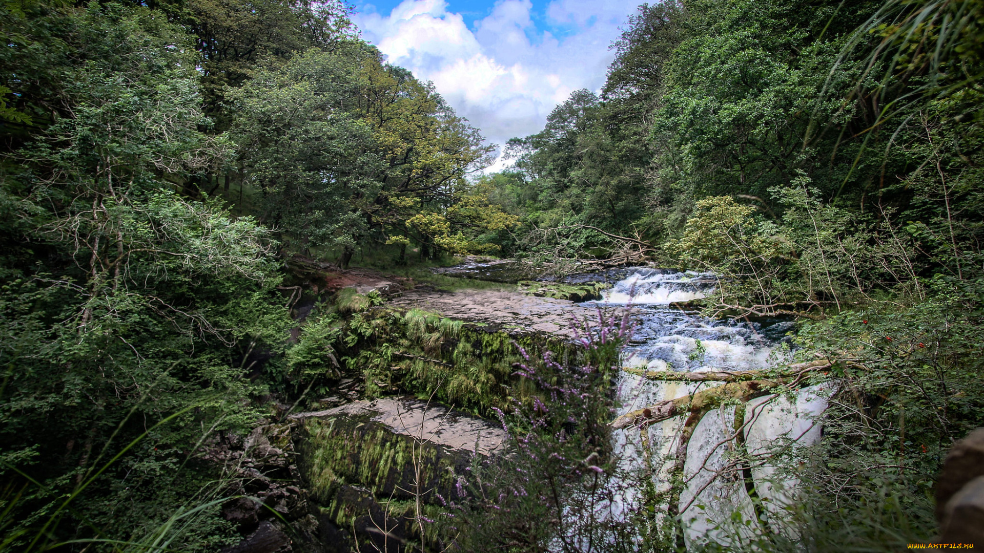 природа, реки, озера, простор