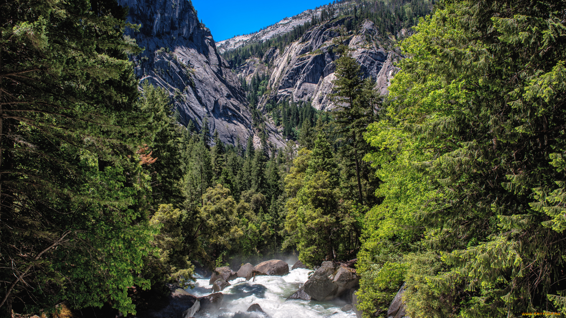 природа, реки, озера, простор