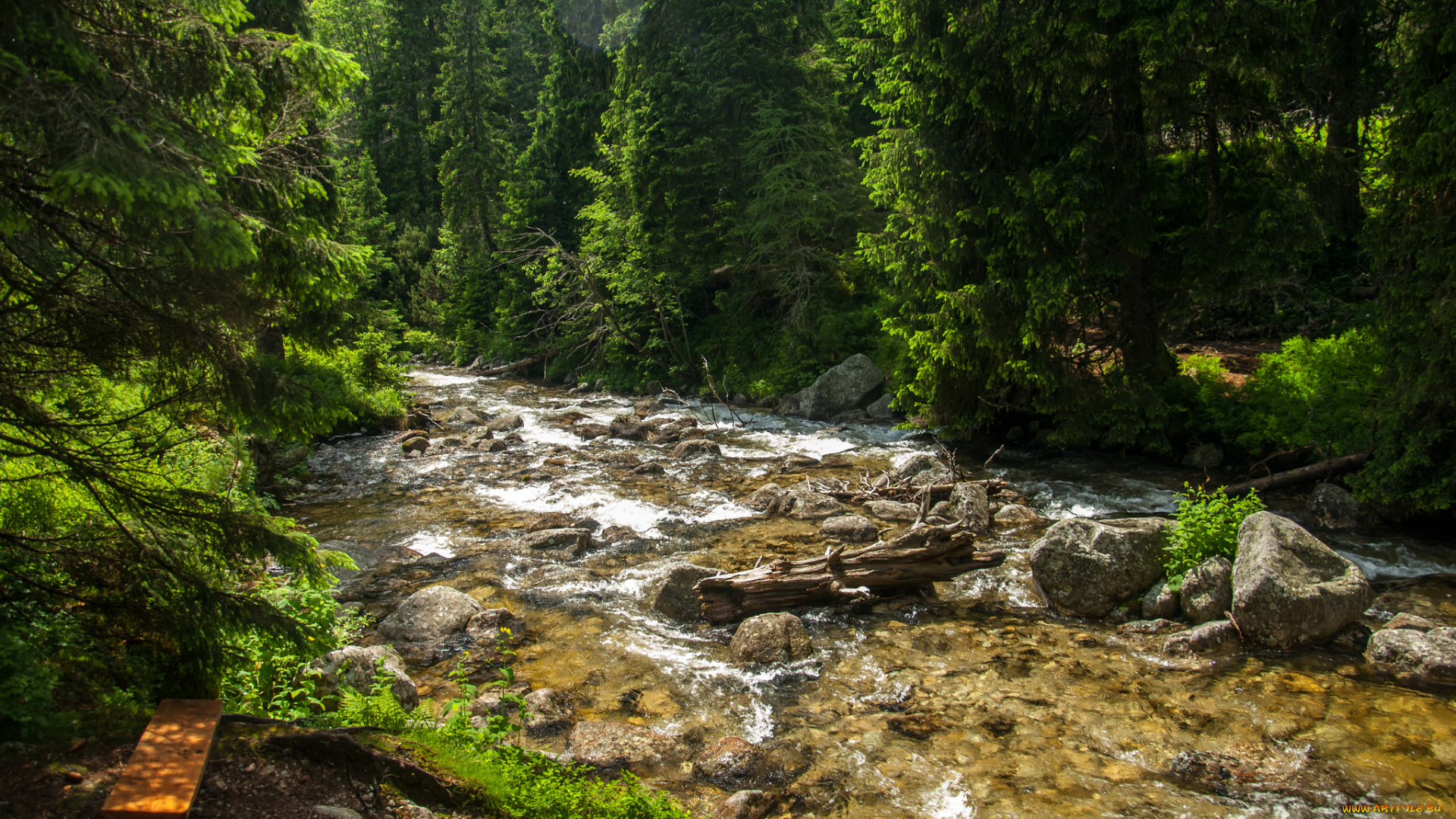 природа, реки, озера, простор