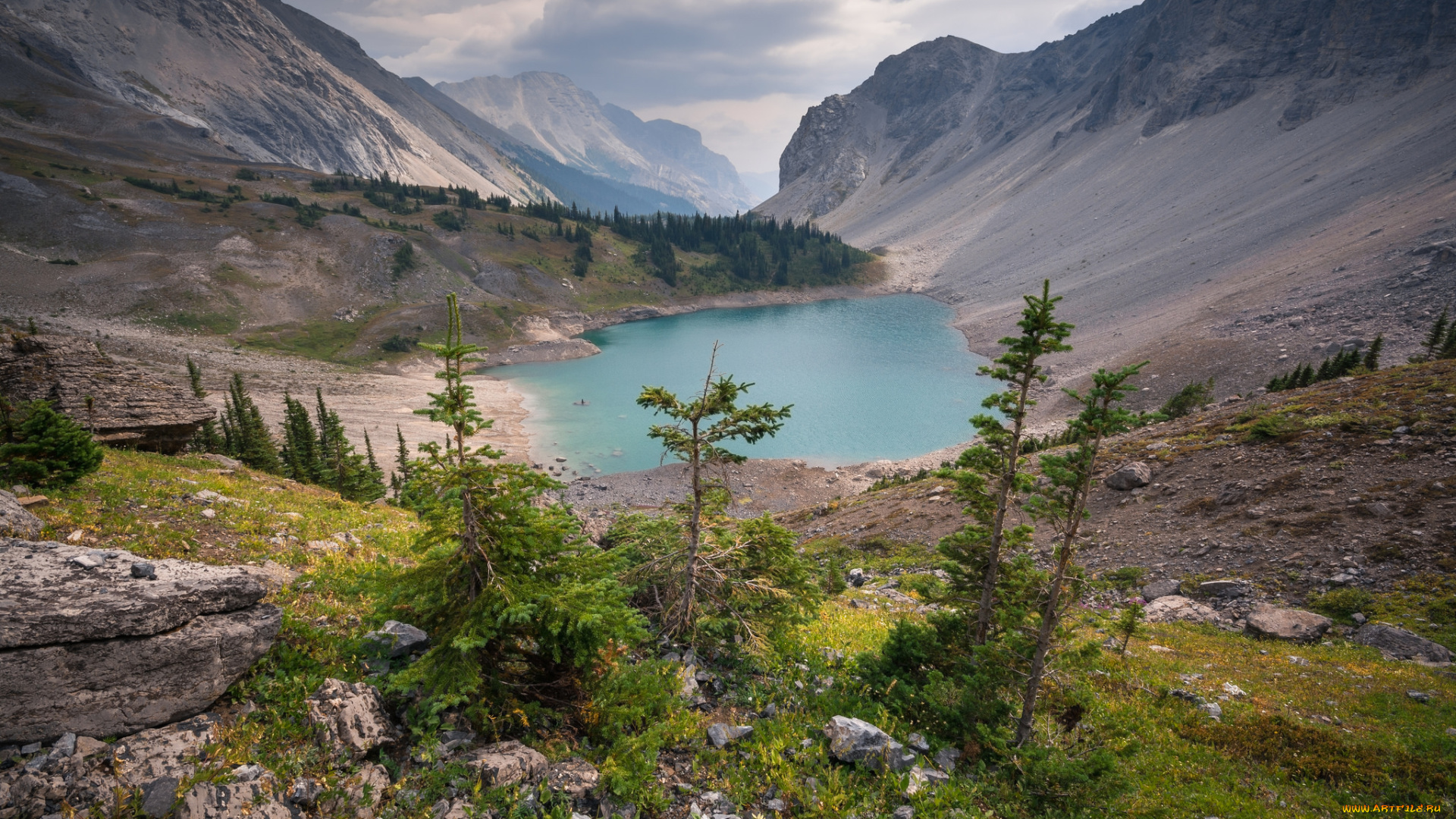 природа, реки, озера, простор