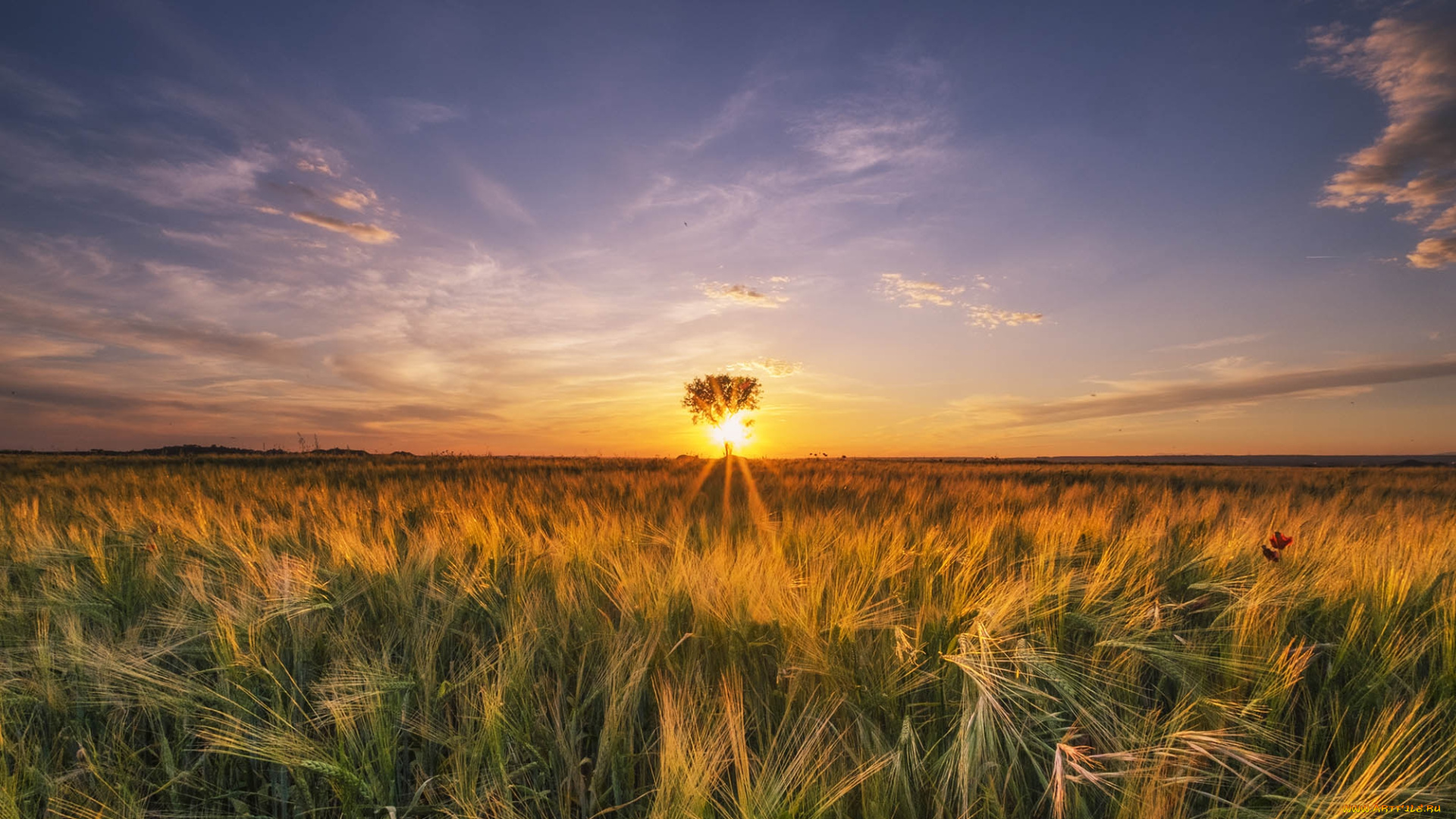 природа, восходы, закаты, простор