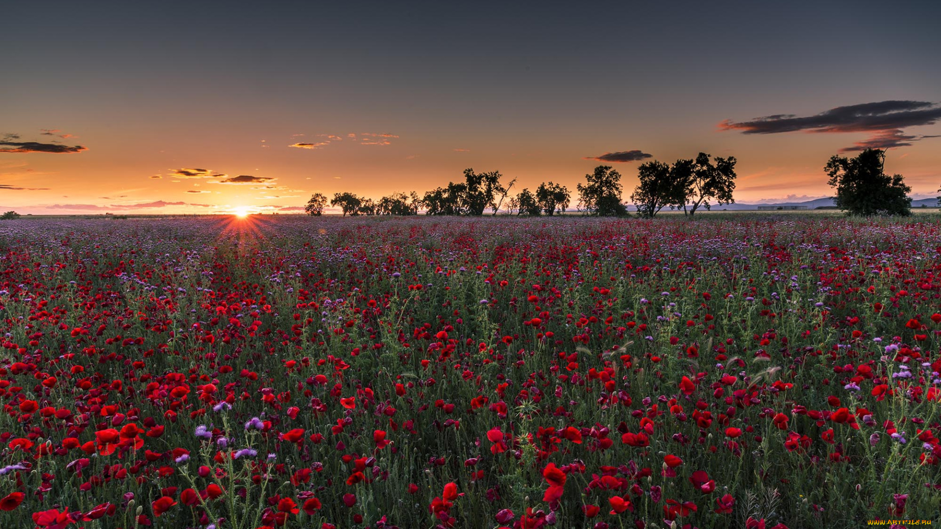 природа, восходы, закаты, простор