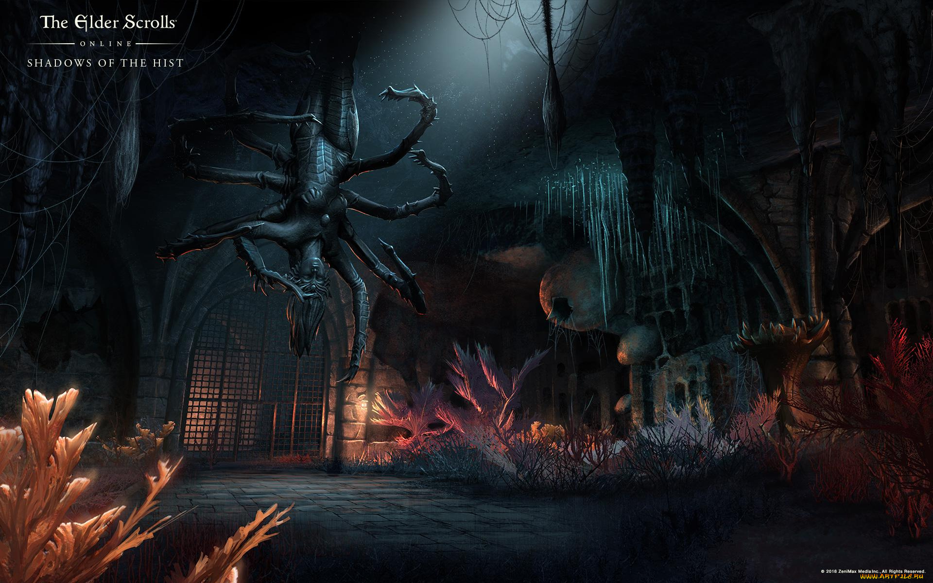 видео, игры, the, elder, scrolls, online, онлайн, ролевая, the, elder, scrolls, online