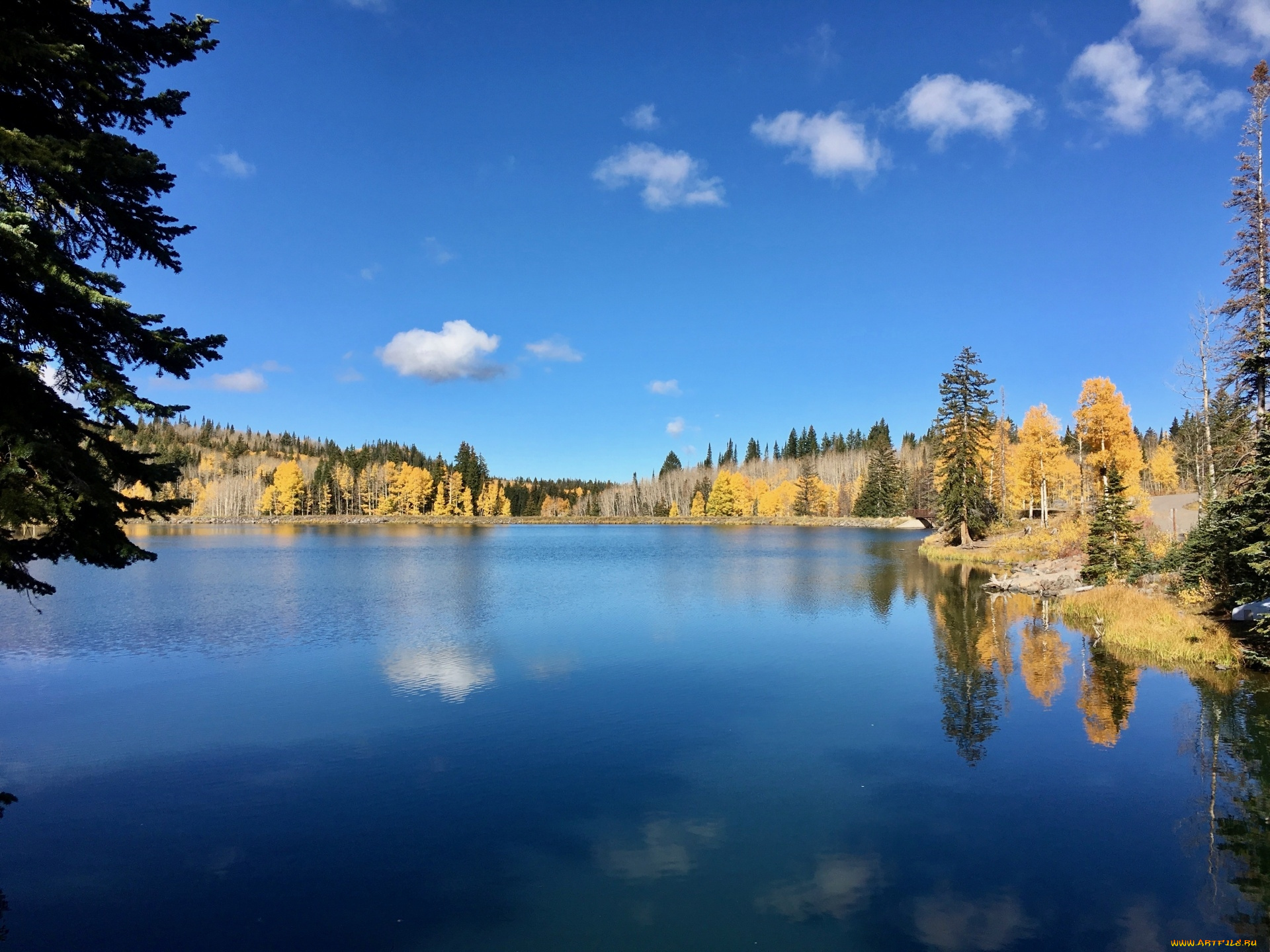природа, реки, озера, отражение, река, вода