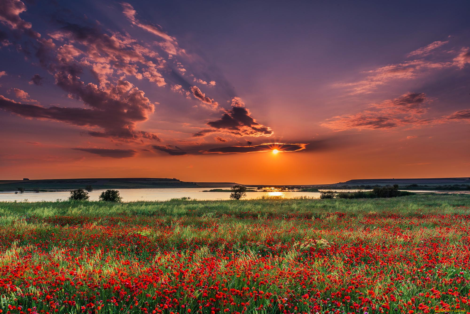 природа, восходы, закаты, простор
