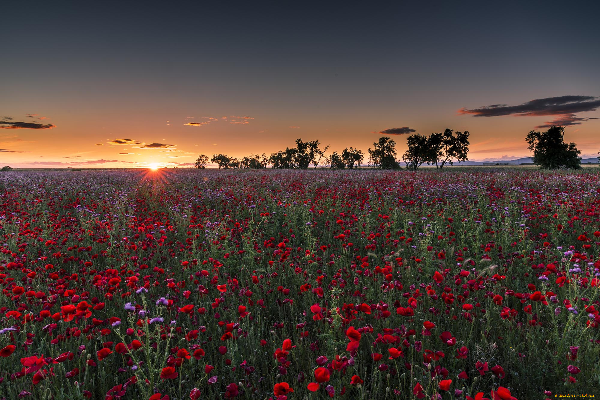 природа, восходы, закаты, простор