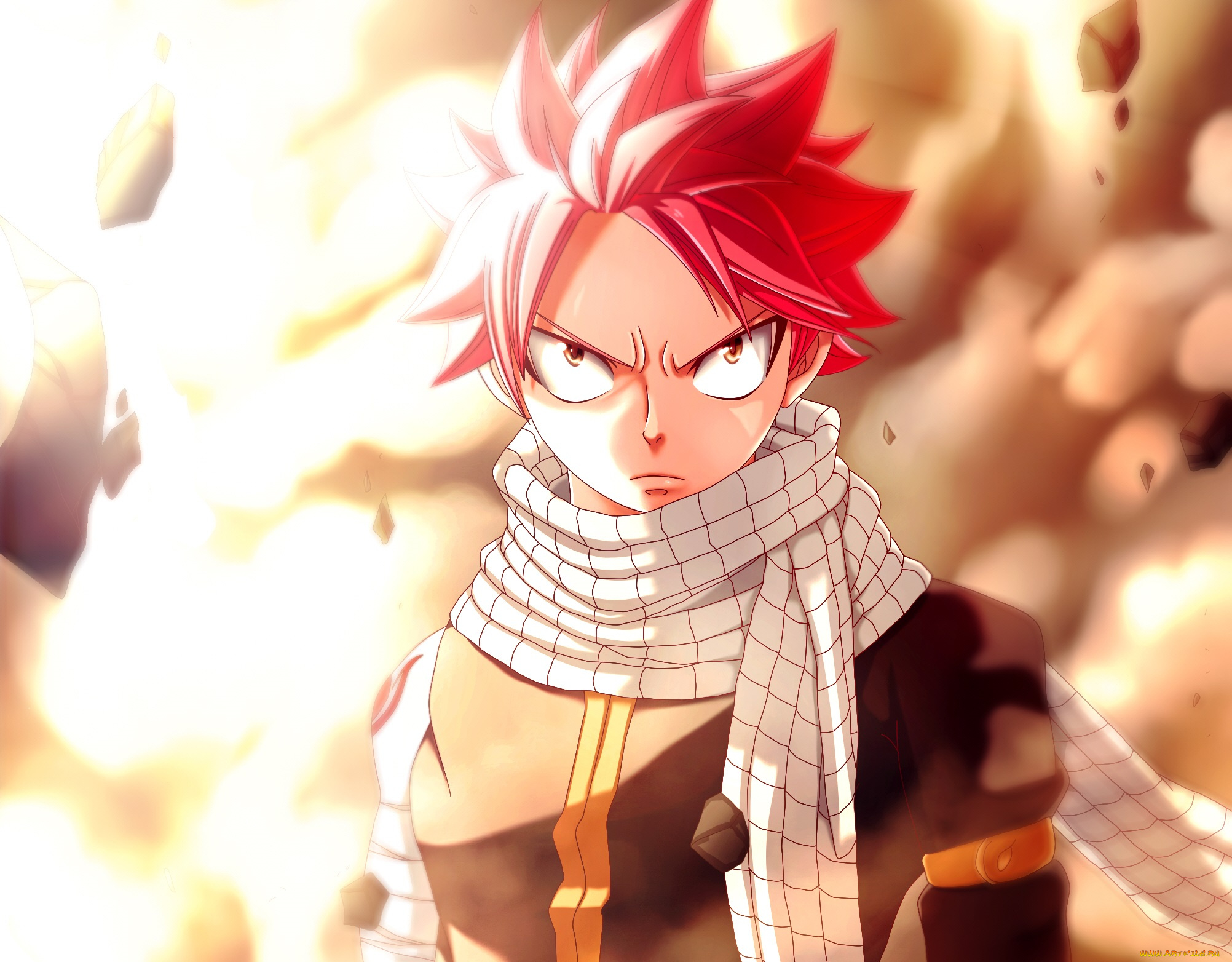 аниме, fairy, tail, хвост, феи