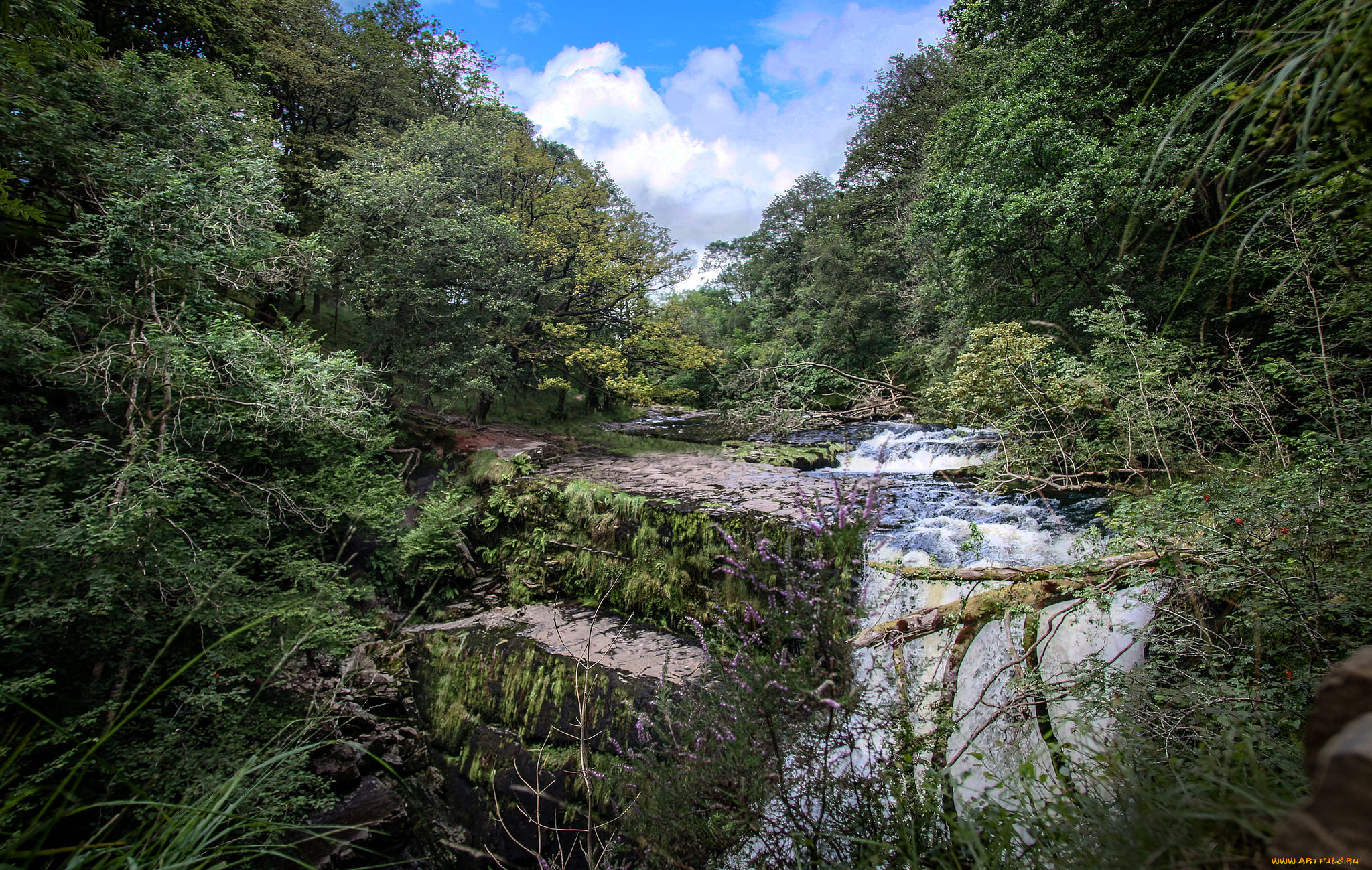 природа, реки, озера, простор