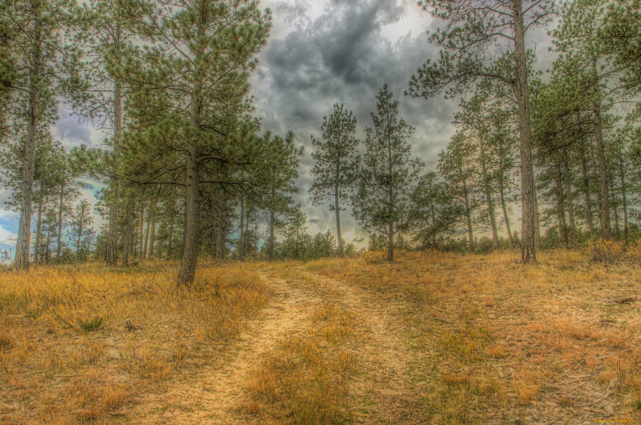 природа, дороги, простор