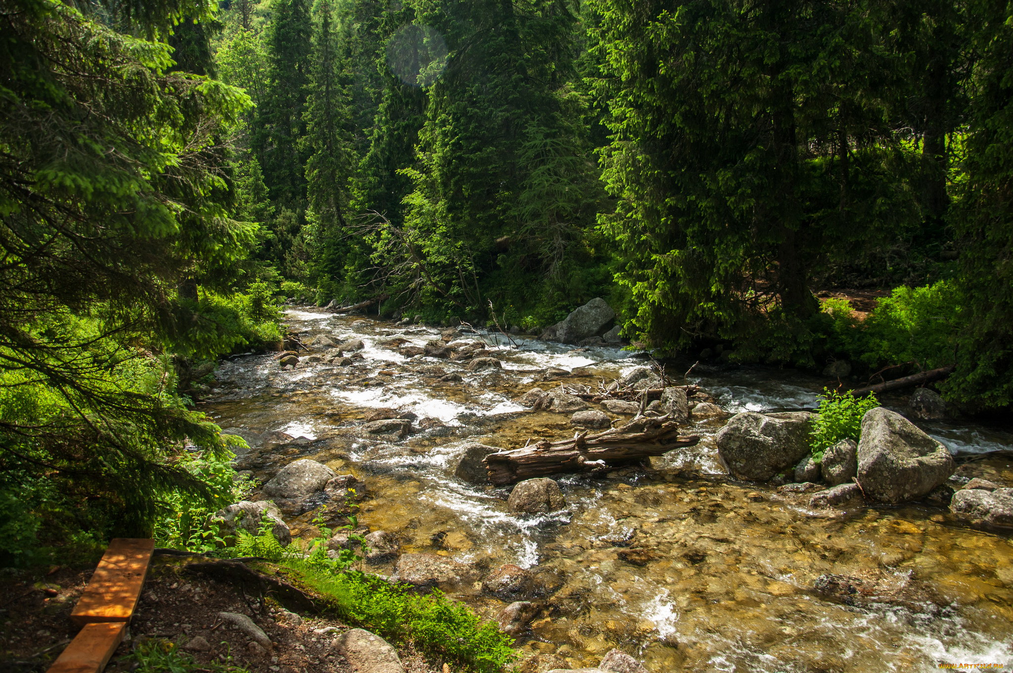 природа, реки, озера, простор