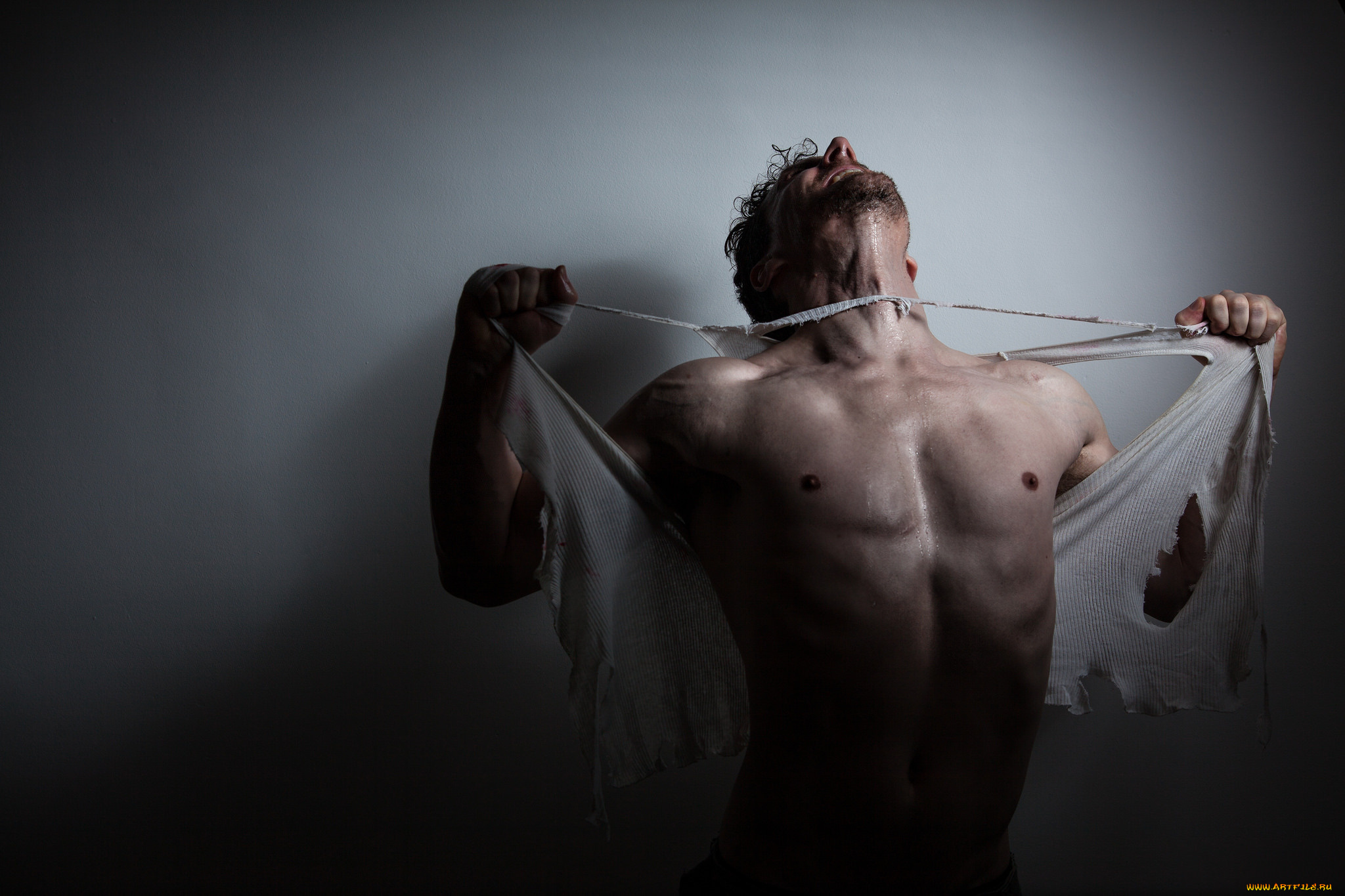 мужчины, -, unsort, гнев, рвет, мужчина, тело, майка