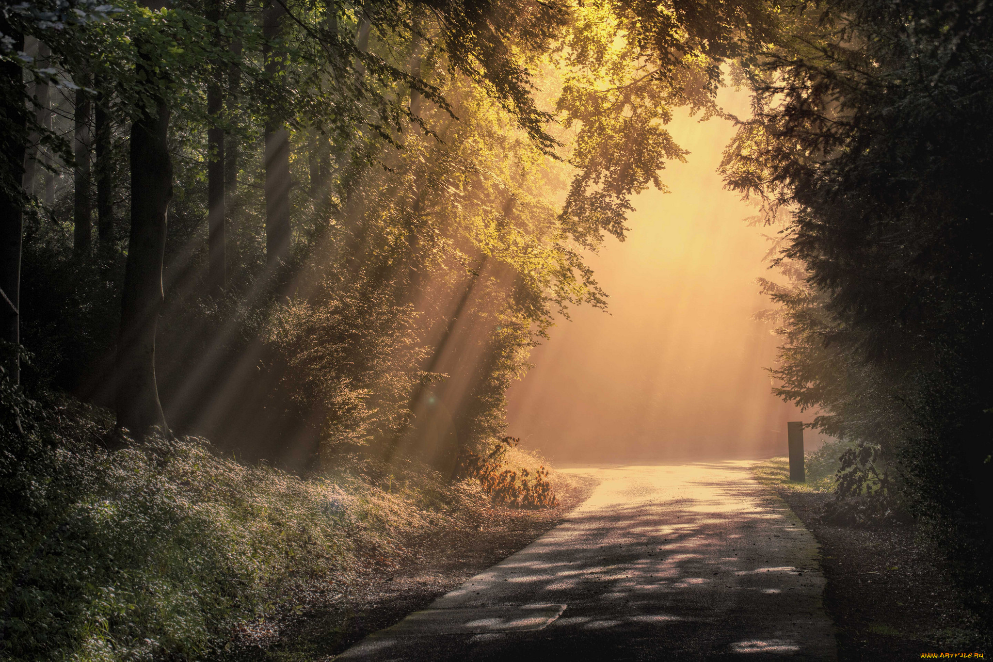 природа, дороги, простор