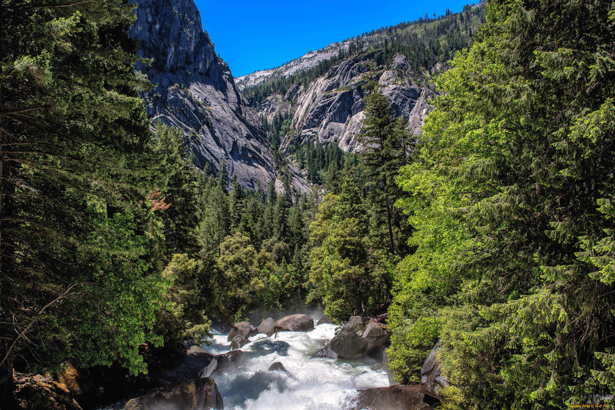 природа, реки, озера, простор