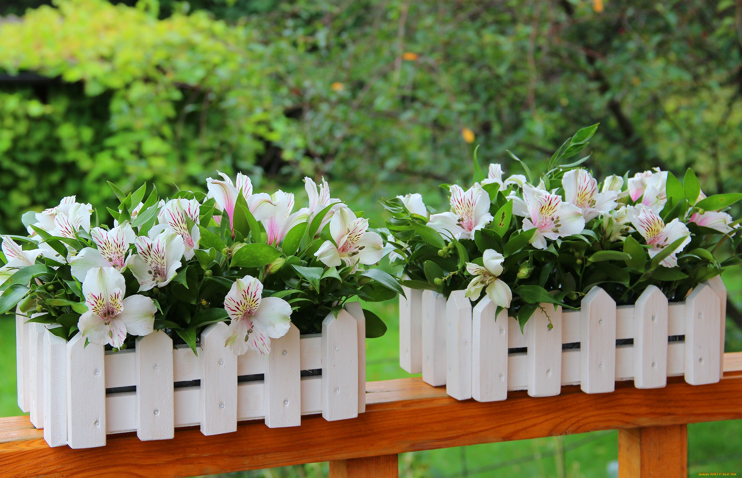 цветы, альстромерия, красота, букет, декорация, лето