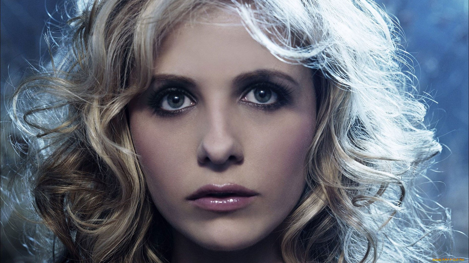 девушки, sarah, michelle, gellar, актриса, блондинка, лицо