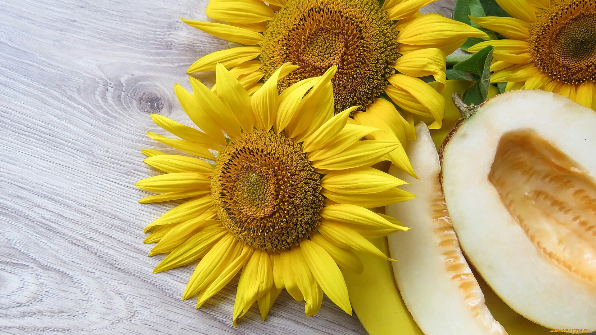 еда, дыня, подсолнух