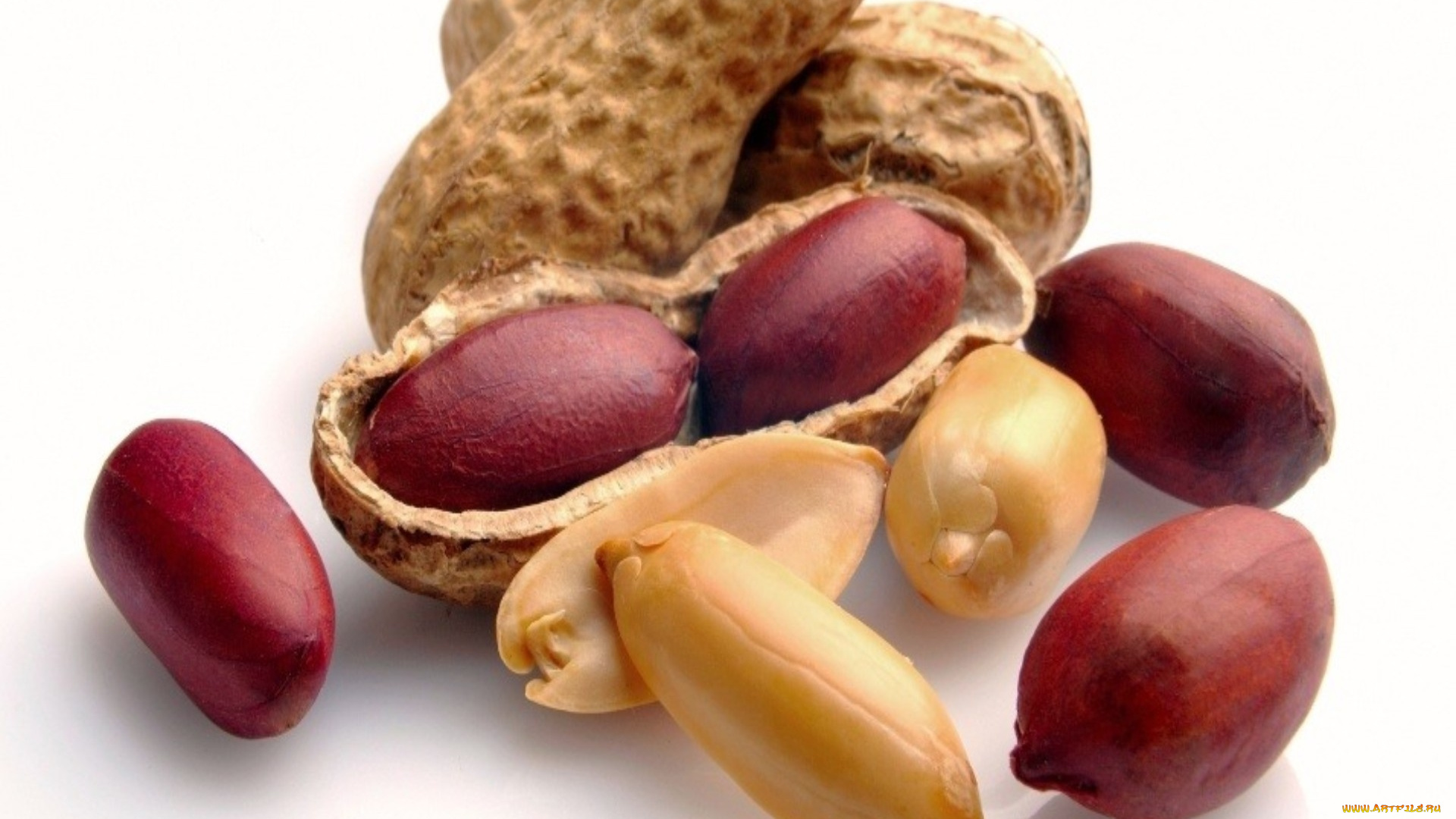 еда, орехи, , каштаны, , какао-бобы, арахис