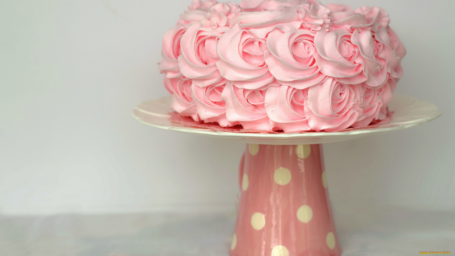 еда, торты, торт, кремовый