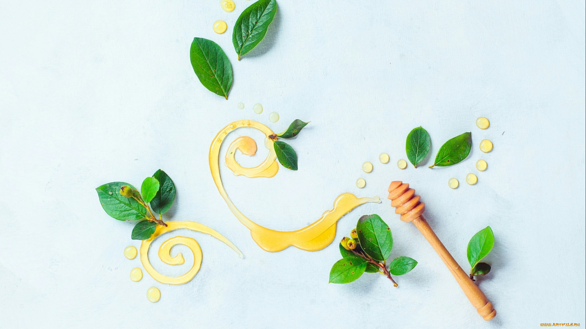 натюрморт, еда, мёд, , варенье, , повидло, , джем, узор, листья