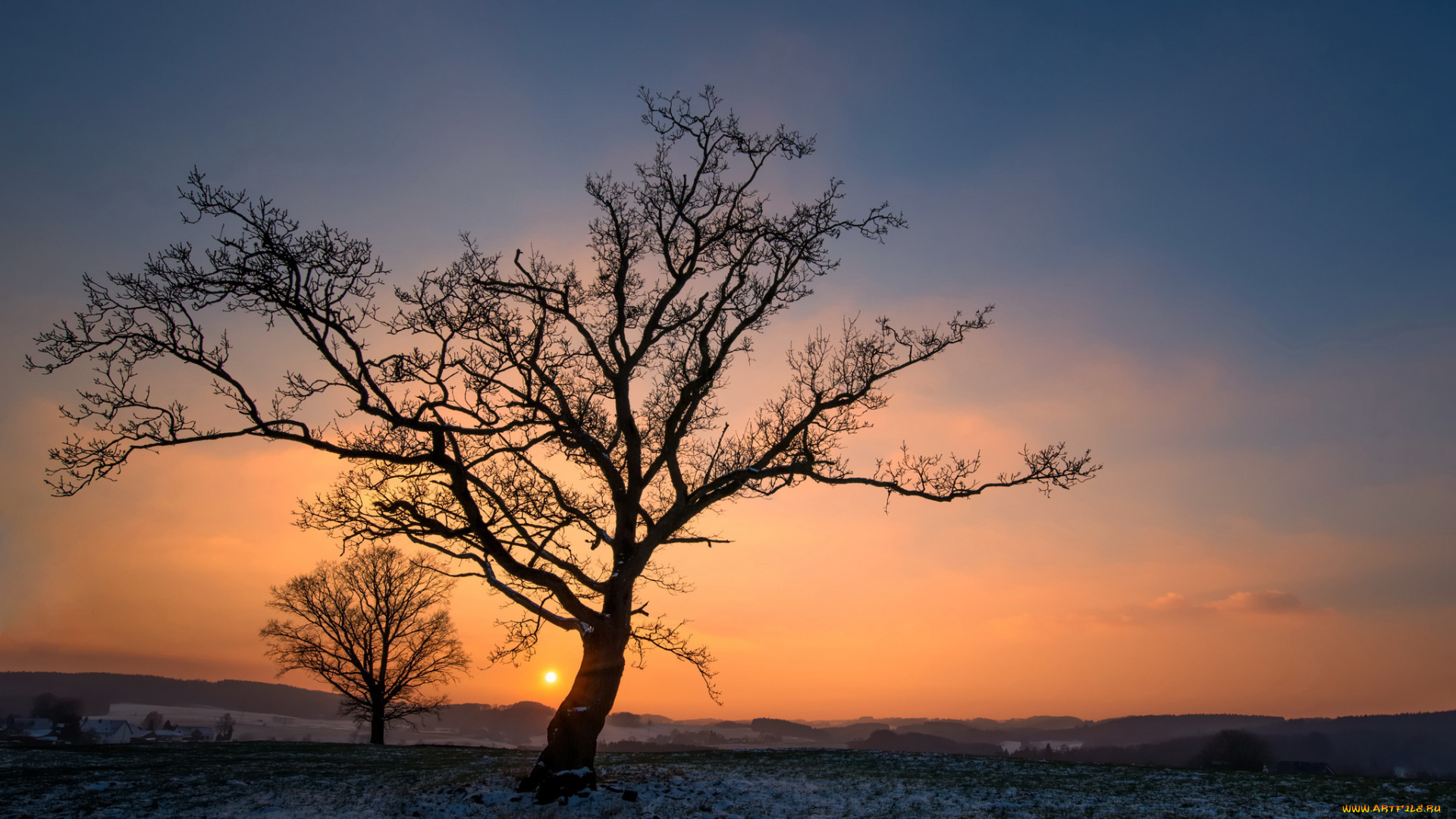 природа, деревья, простор