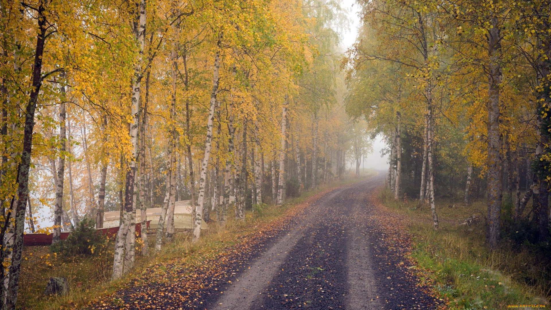 природа, дороги, березы, осень, дорога, деревья