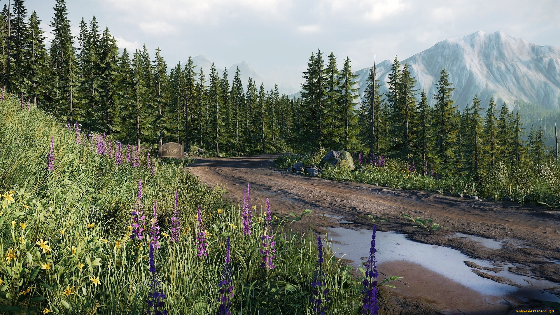 природа, дороги, лес, дорoга