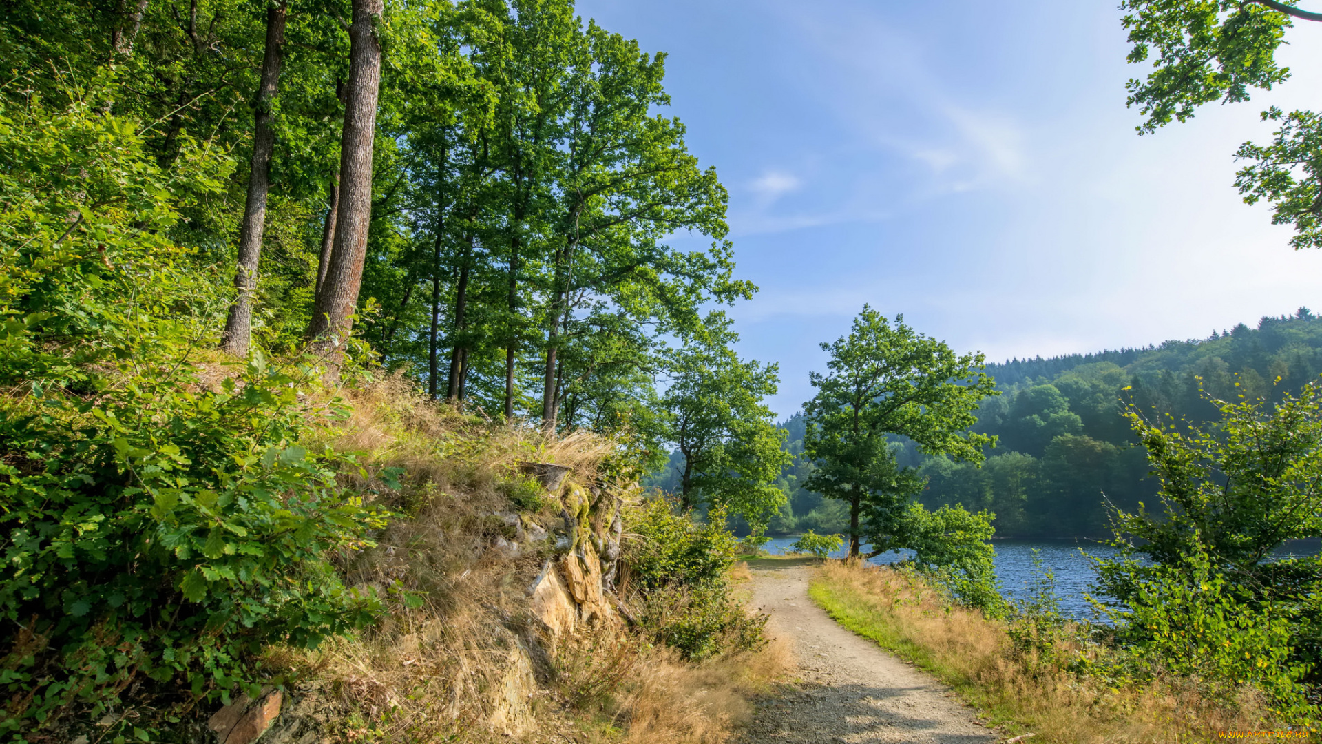 природа, дороги, простор