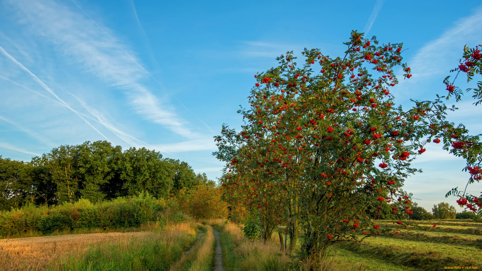 природа, дороги, простор