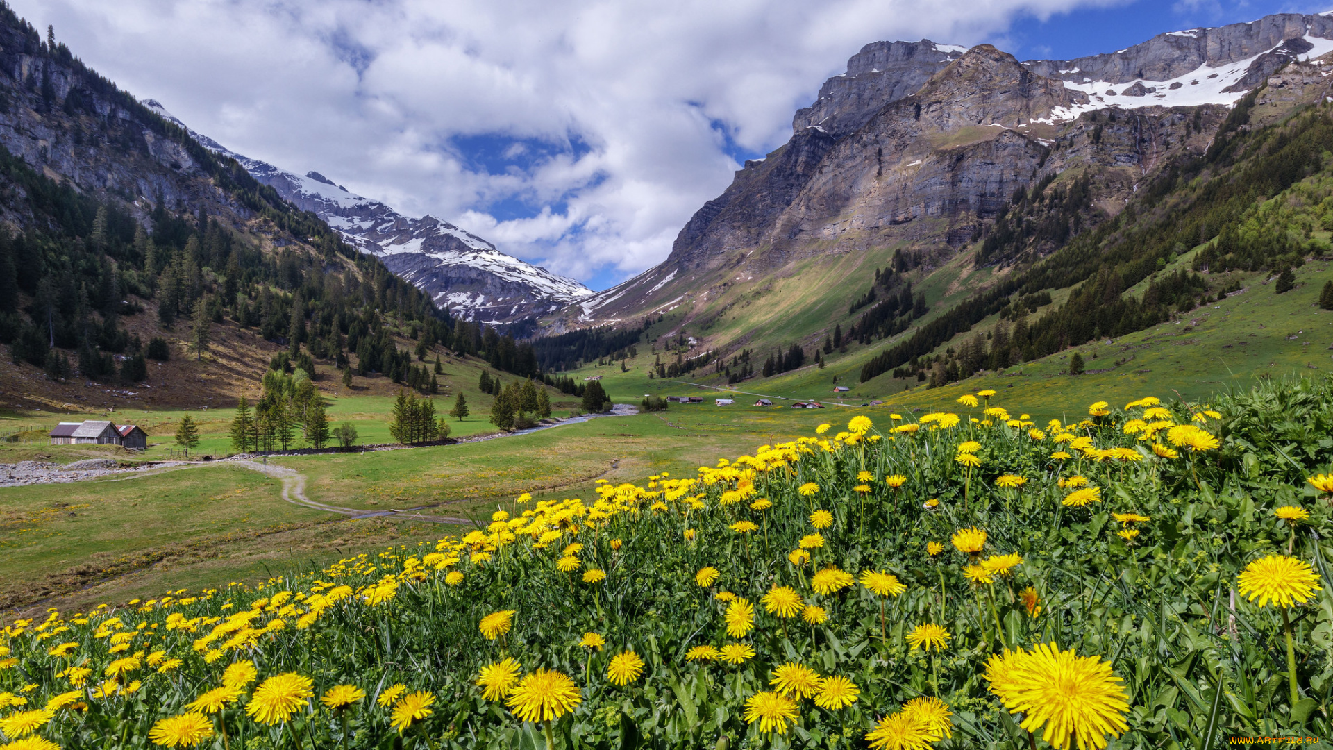 природа, луга, простор