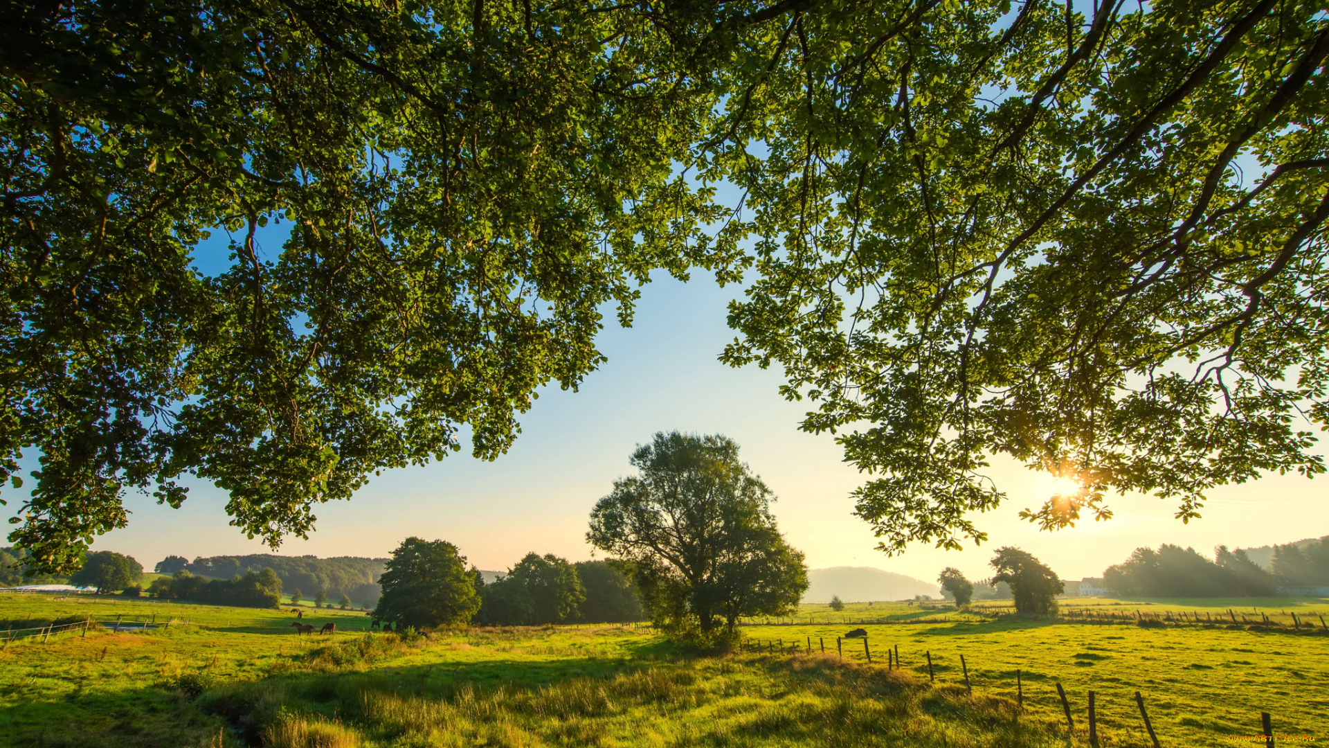 природа, пейзажи, простор
