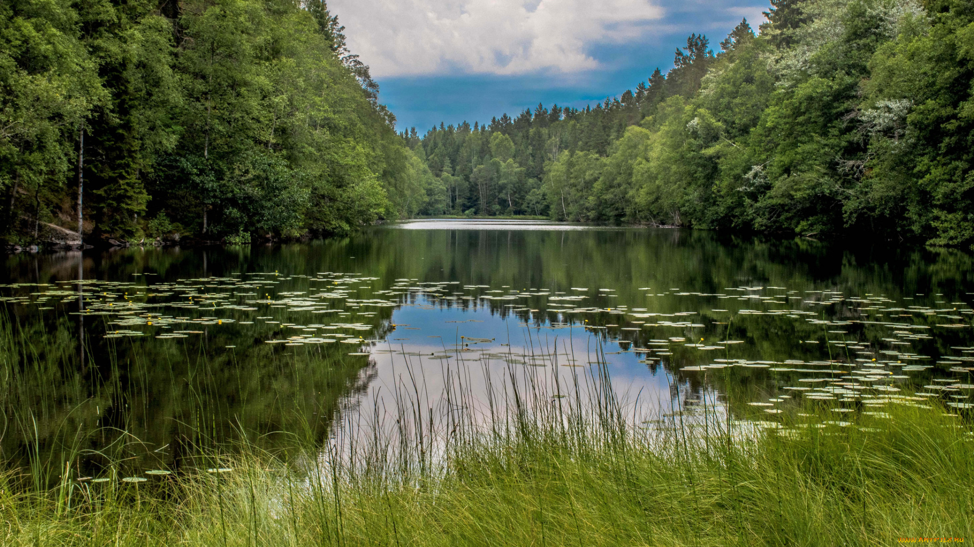 природа, реки, озера, простор