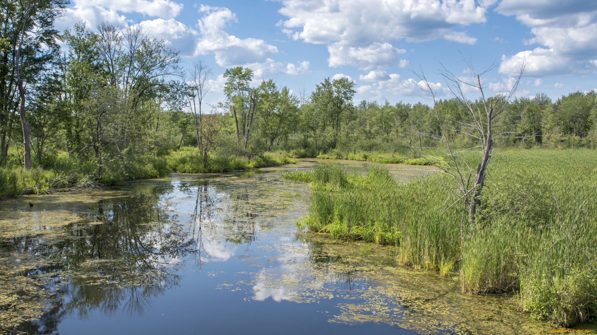 природа, реки, озера, простор